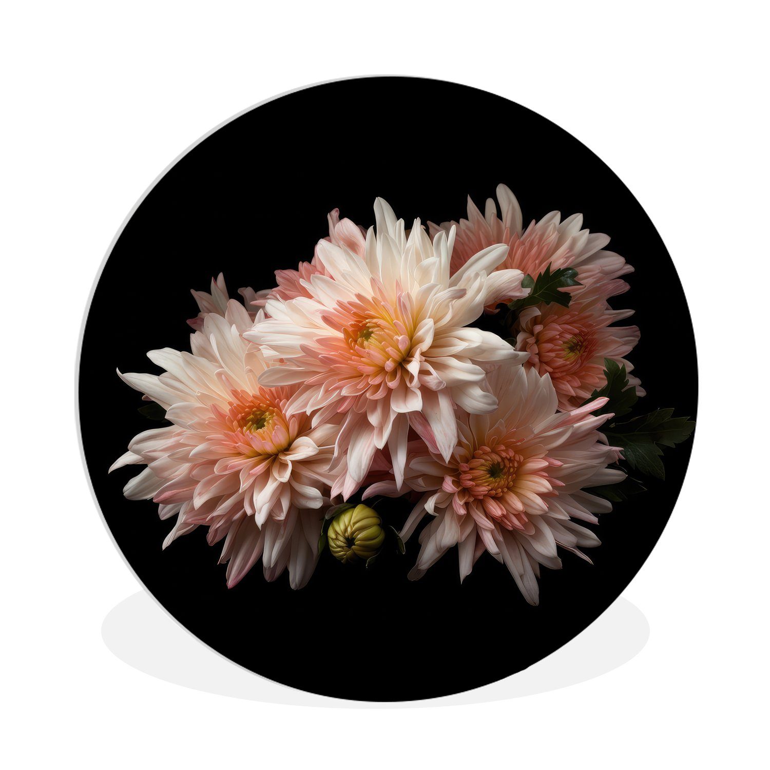 Gemälde Chrysantheme - Blumen - Weiß - Natur - Schwarz
