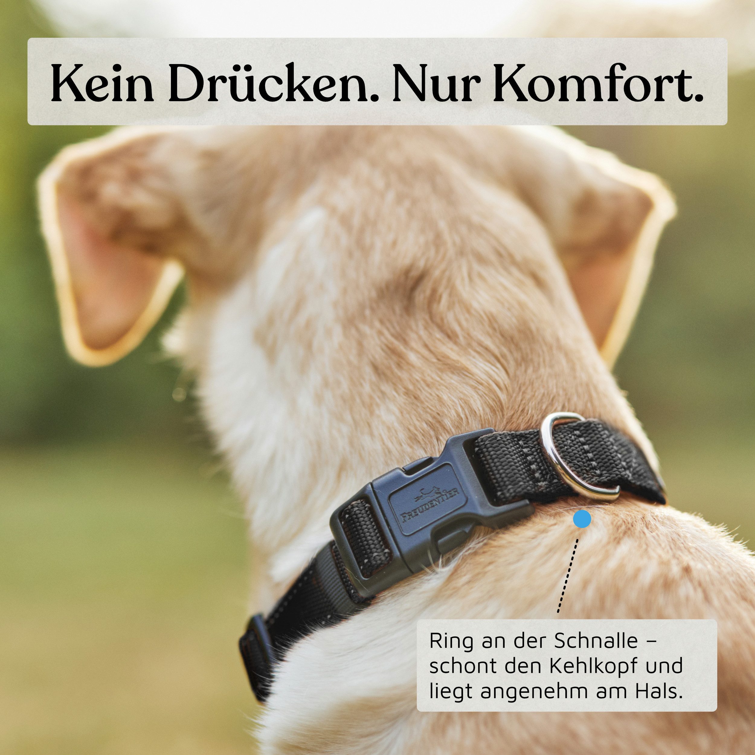 Freudentier Hunde-Halsband Hundehalsband - gepolstert & reflektierend - Clyde Kollektion