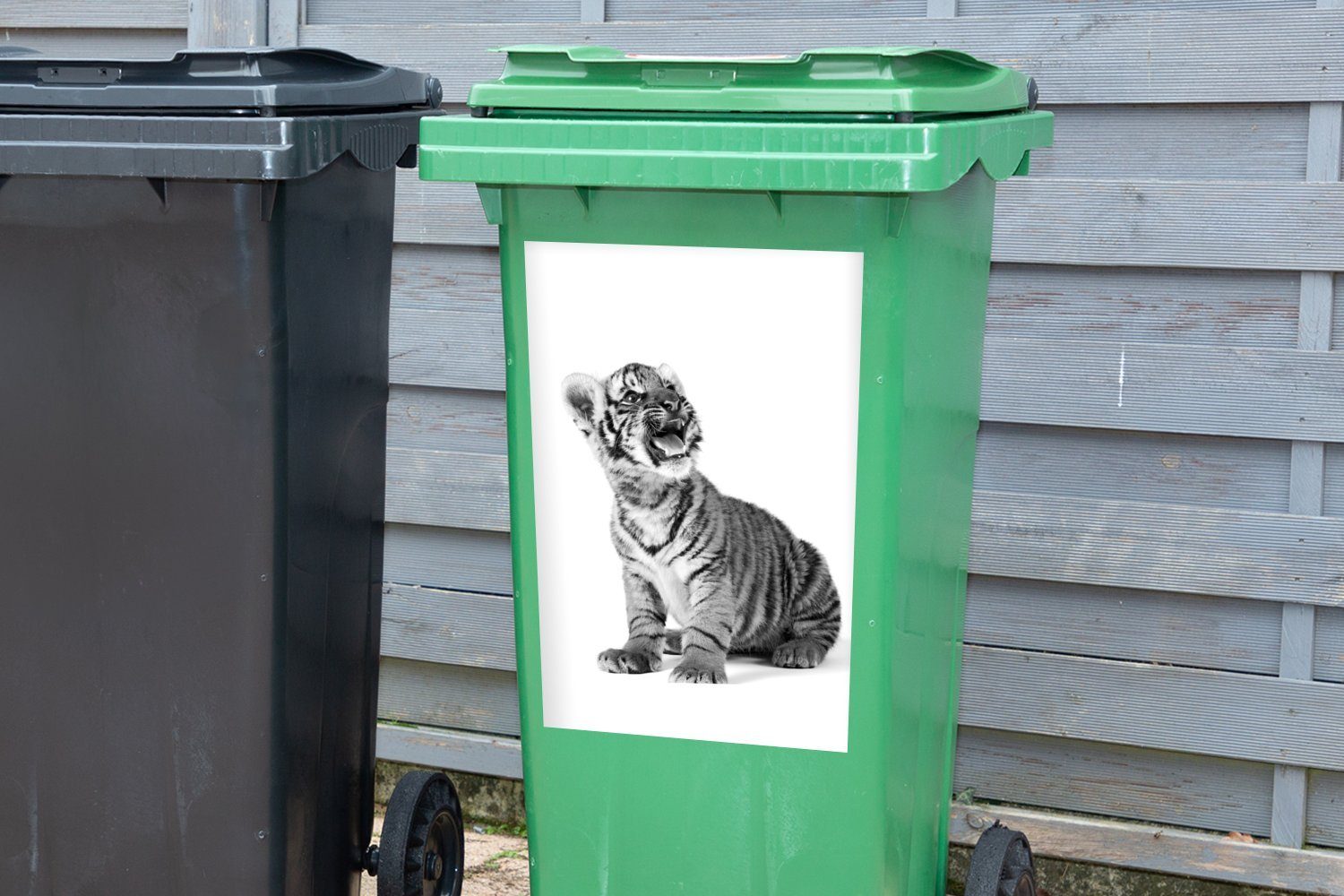 Sticker, St), Wandsticker Maul Tigerjunges (1 weißem schwarz Abfalbehälter mit Container, und Mülltonne, Mülleimer-aufkleber, MuchoWow - offenem Hintergrund auf weiß