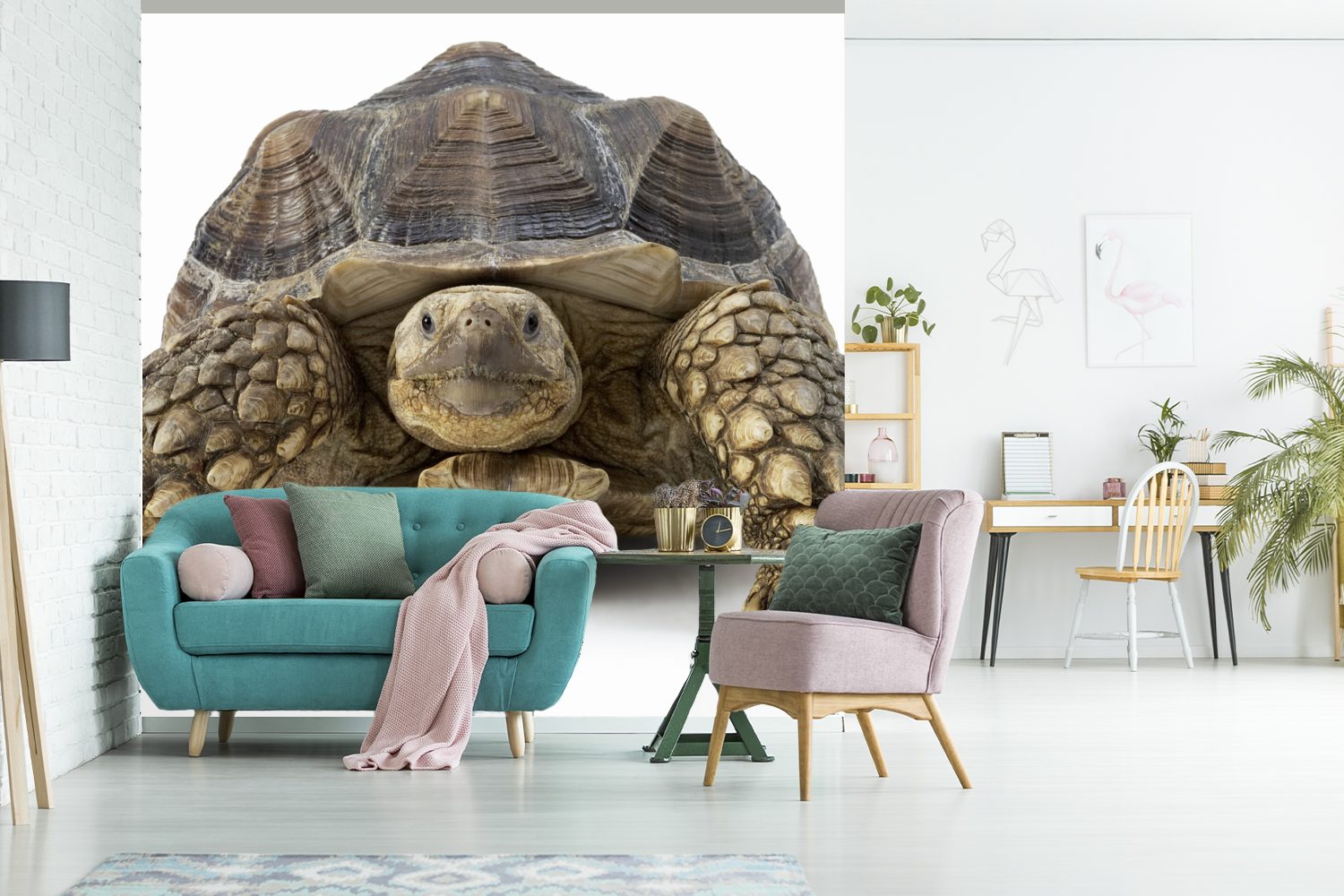 für Matt, St), Wohnzimmer Fototapete Tapete - MuchoWow (5 - oder bedruckt, Tiere Wandtapete Weiß, Schildkröte Schlafzimmer, Vinyl