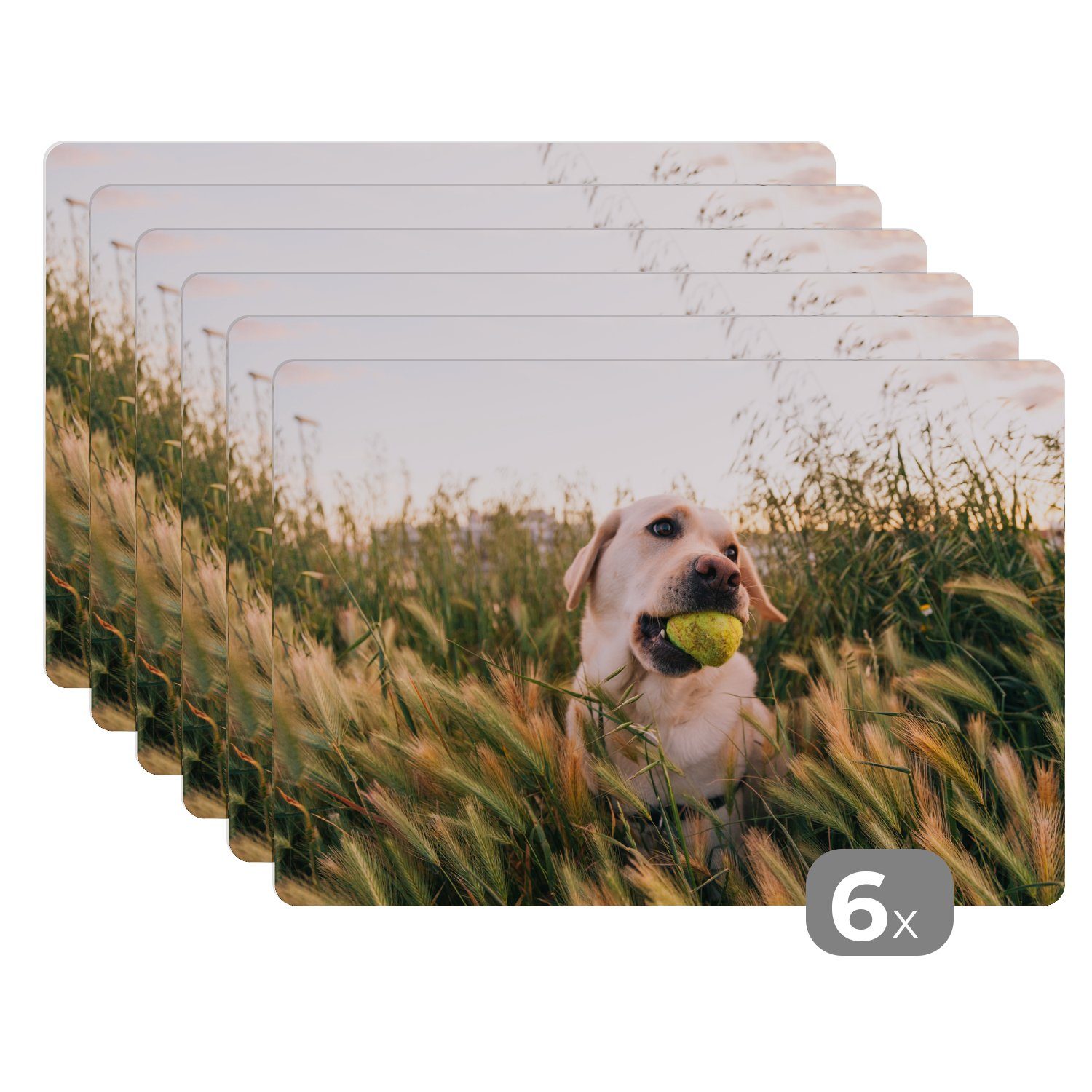 Platzset, Labrador Retriever Gras, spielt Schmutzabweisend Platzset, (6-St), Tischmatten, Platzmatte, Tennisball im Platzdecken, MuchoWow, einem mit