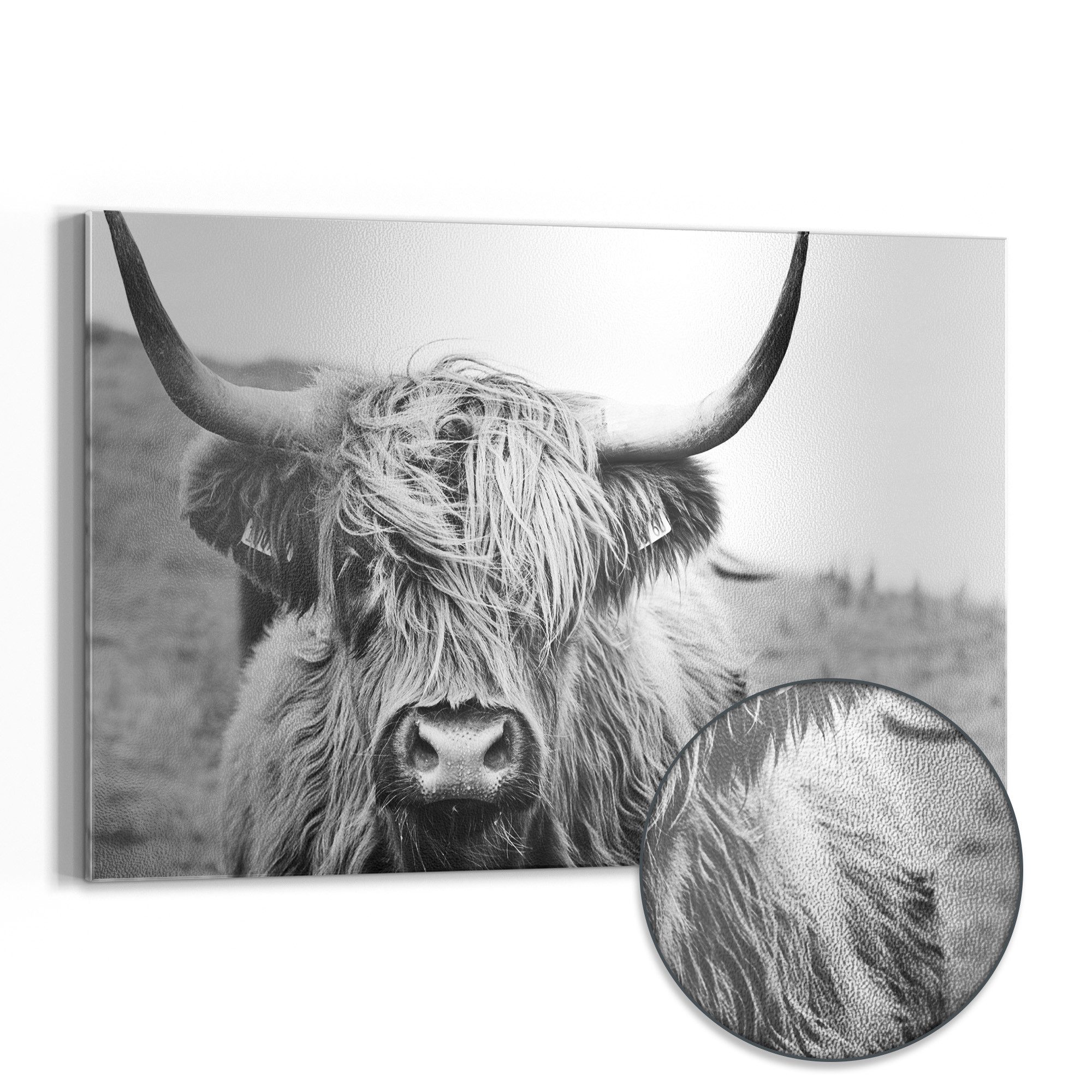 DEQORI Magnettafel 'Zotteliges Hochlandrind', Metall Whiteboard für alle Magnete, Magnetboard magnetisch