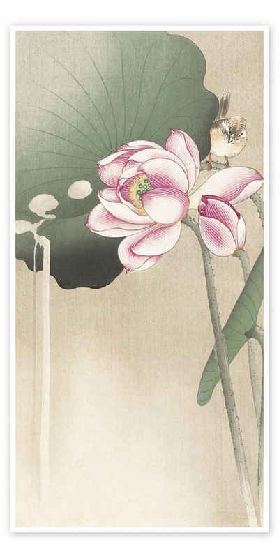 Posterlounge Poster Ohara Koson, Lotus Blume und Fink, Malerei