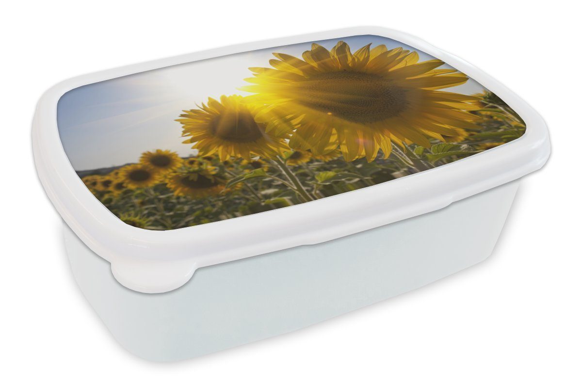 MuchoWow Lunchbox Nahaufnahme von Sonnenblumen auf dem Feld, Kunststoff, (2-tlg), Brotbox für Kinder und Erwachsene, Brotdose, für Jungs und Mädchen weiß