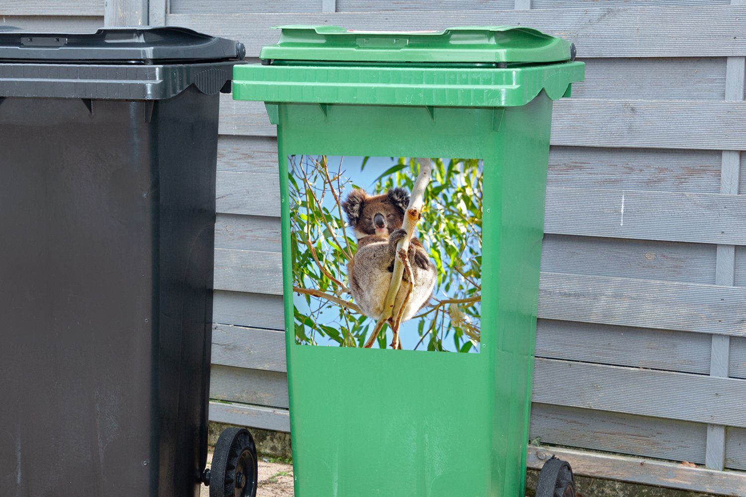 - Container, Mädchen Mülltonne, - (1 Luft Abfalbehälter Zweige - Mülleimer-aufkleber, Koala MuchoWow Jungen Sticker, Wandsticker St), -