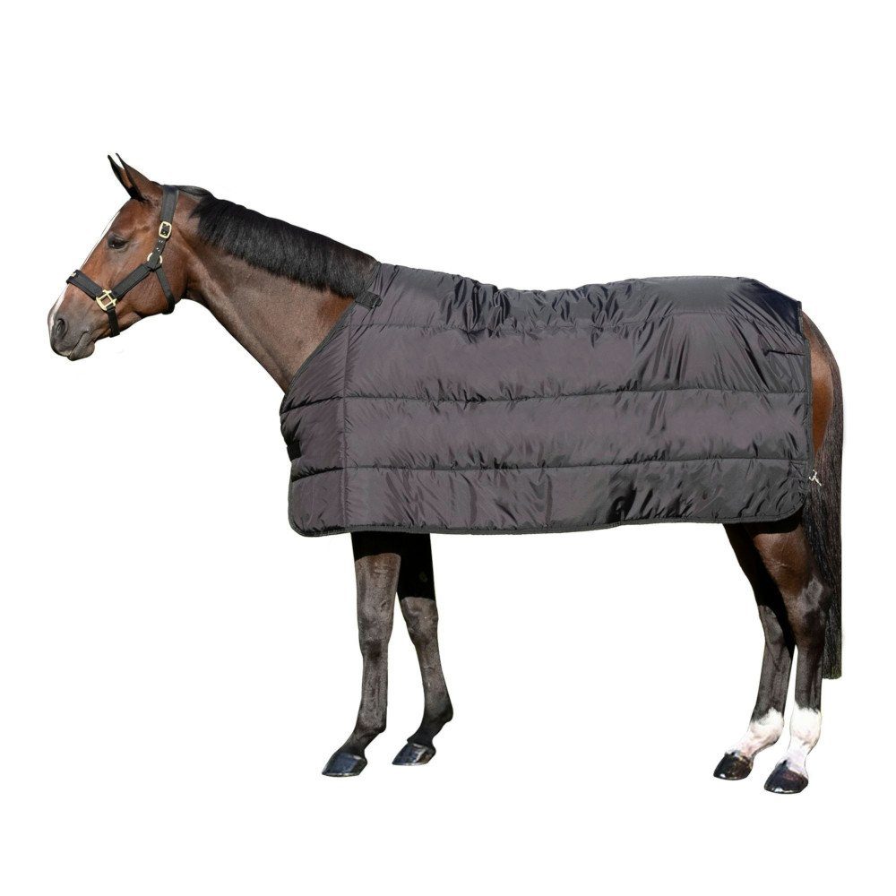 Back on track Pferde-Thermodecke Back on Track Felix Rückeneinsatz 200g - schwarz - Unterdecke
