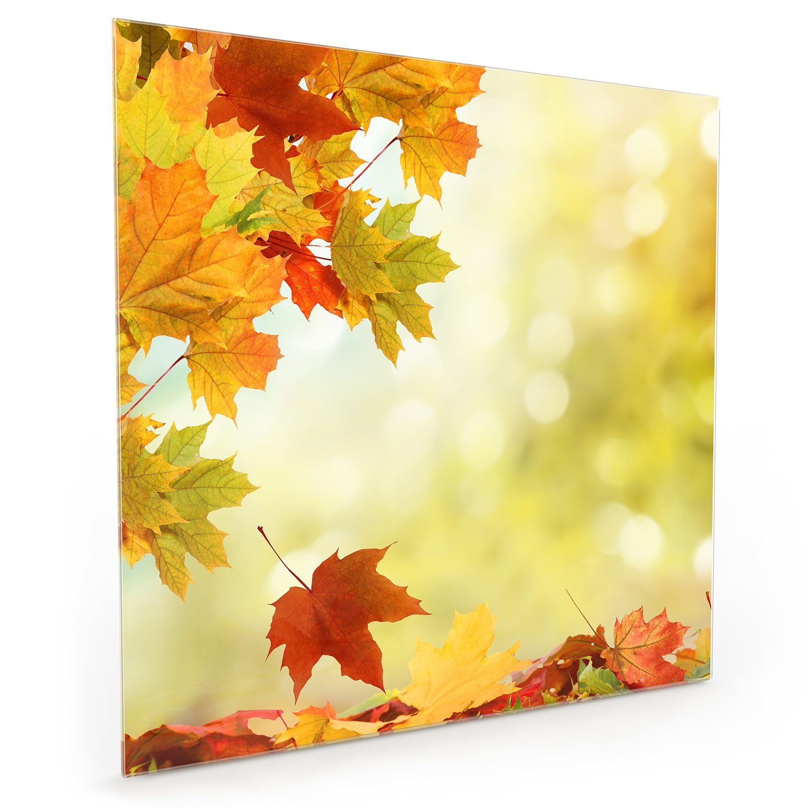 Primedeco Küchenrückwand Spritzschutz Sonnenlicht Herbstblätter im Glas