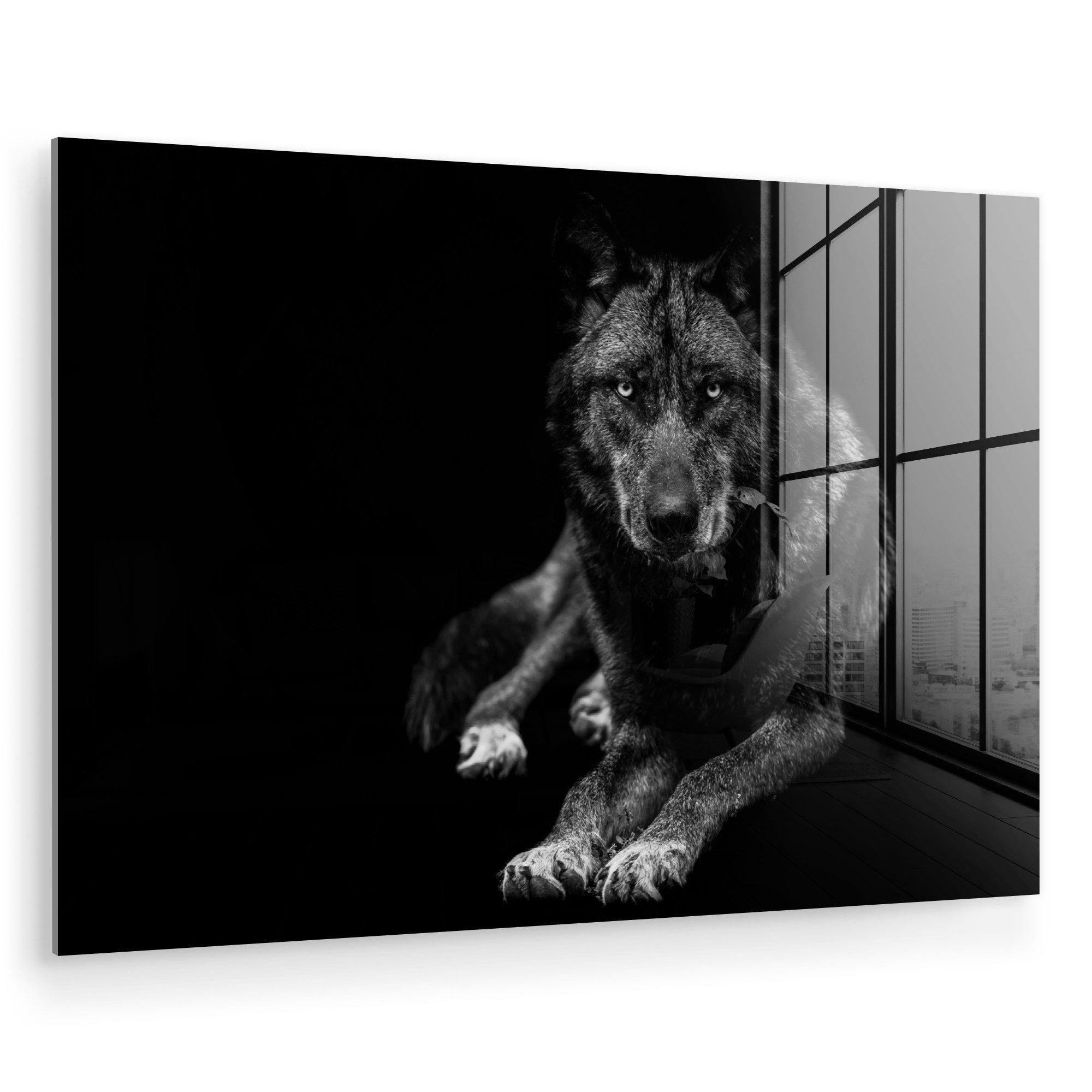 MuchoWow Acrylglasbild Tiere - Wolf - günstig online kaufen