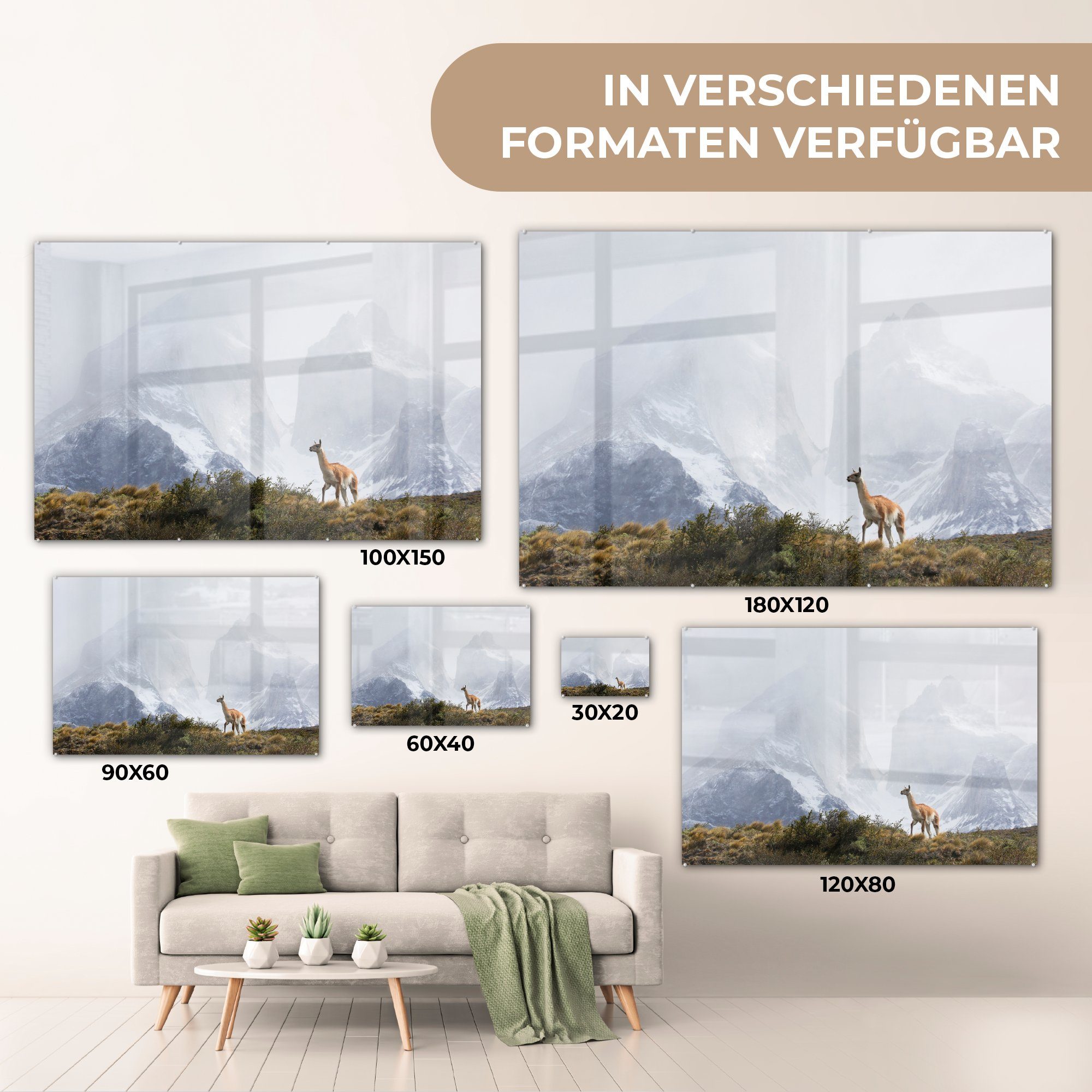 & Acrylglasbilder - Berge, MuchoWow St), Schnee Wohnzimmer - (1 Acrylglasbild Lama Schlafzimmer