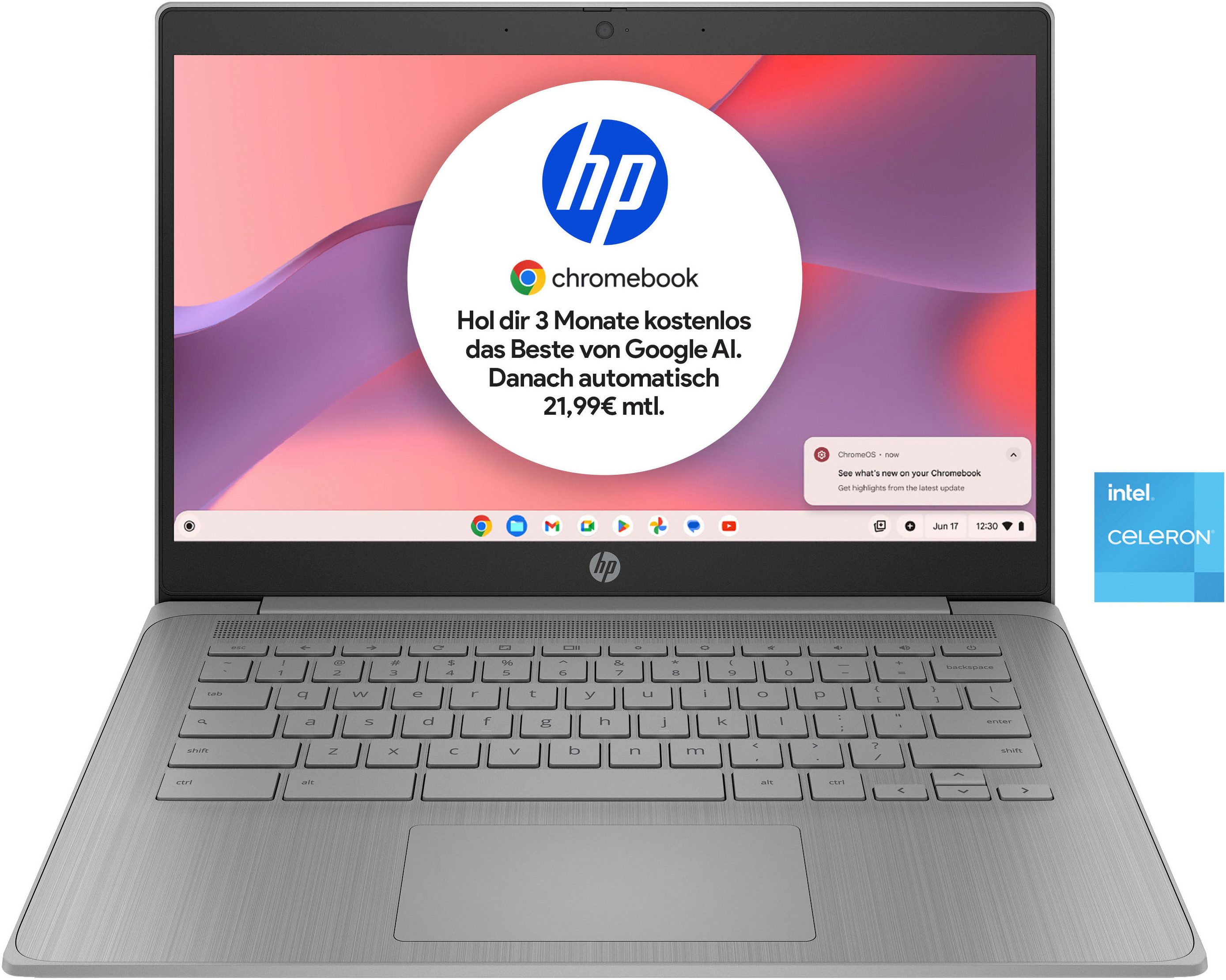 HP 14a-ne1210ng Chromebook (35,6 cm/14 Zoll, Intel Celeron N450, UHD Graphics, 64 GB SSD)