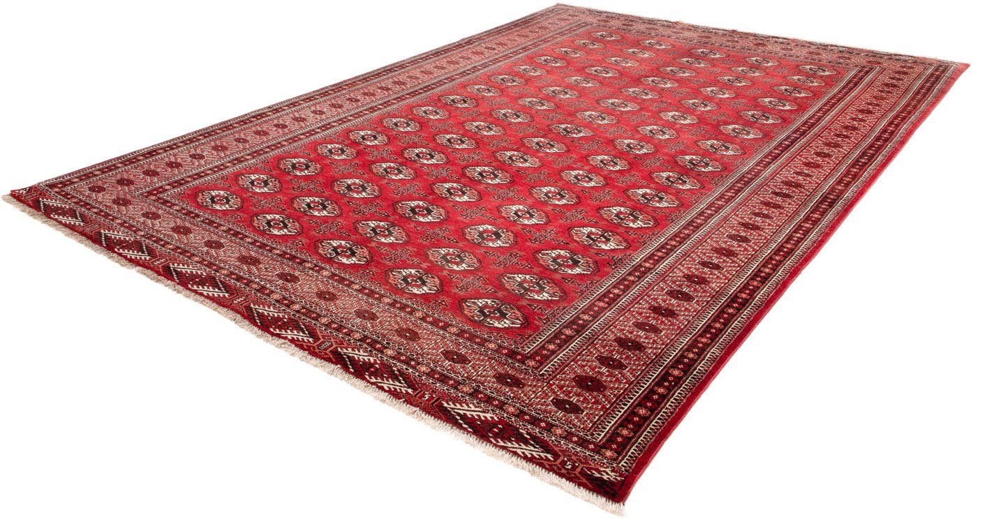 Wollteppich Meymeh Medaillon Rosso scuro 324 x 235 cm, morgenland, rechteckig, Höhe: 10 mm, Unikat mit Zertifikat