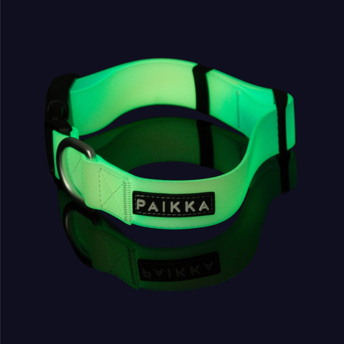PAIKKA Hunde-Halsband Hundehalsband "Glow Collar" ombre