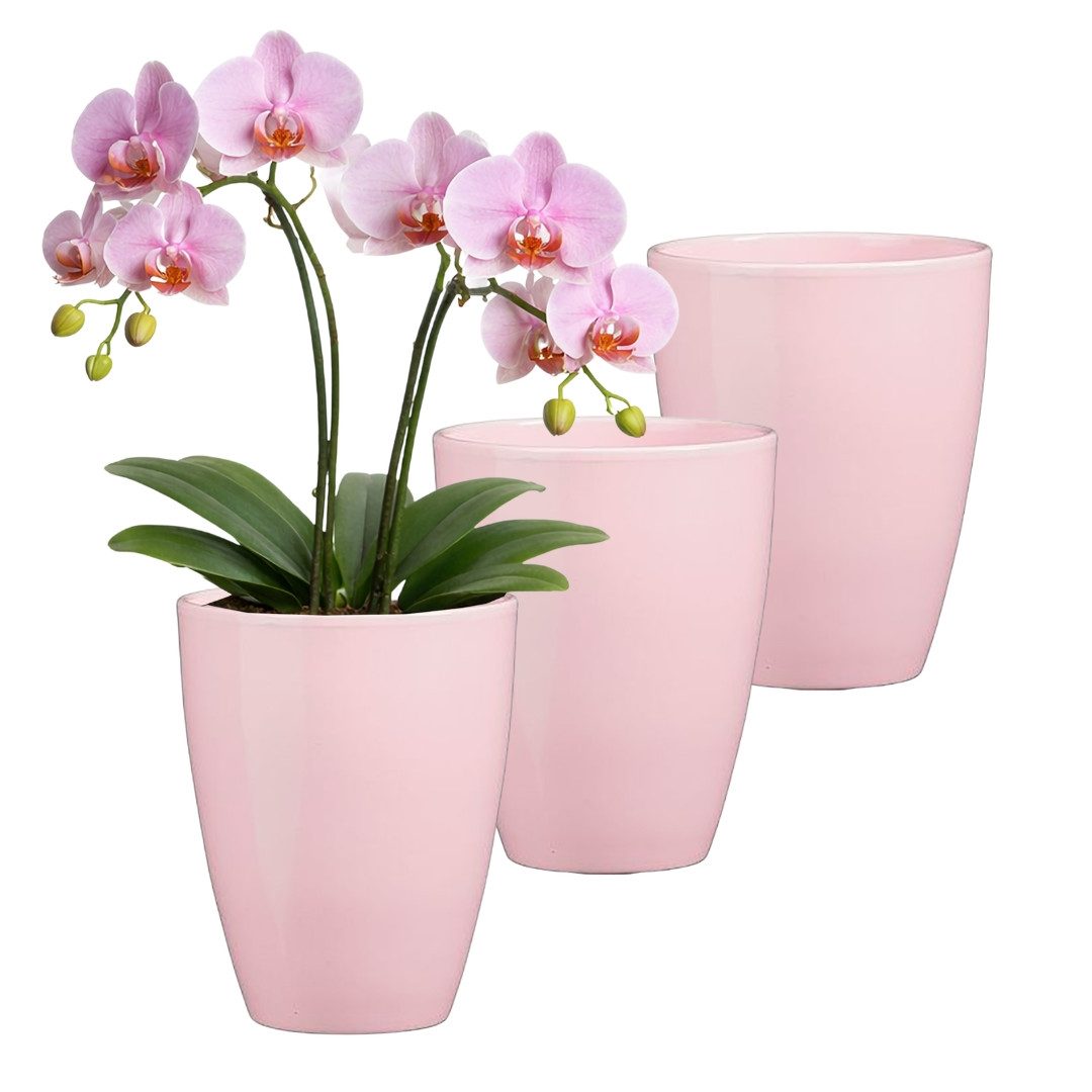 Annastore Übertopf 3 x Orchideentopf aus Keramik - Orchideenübertopf - Blumenübertopf, H 17 cm - Ø 13,5 cm