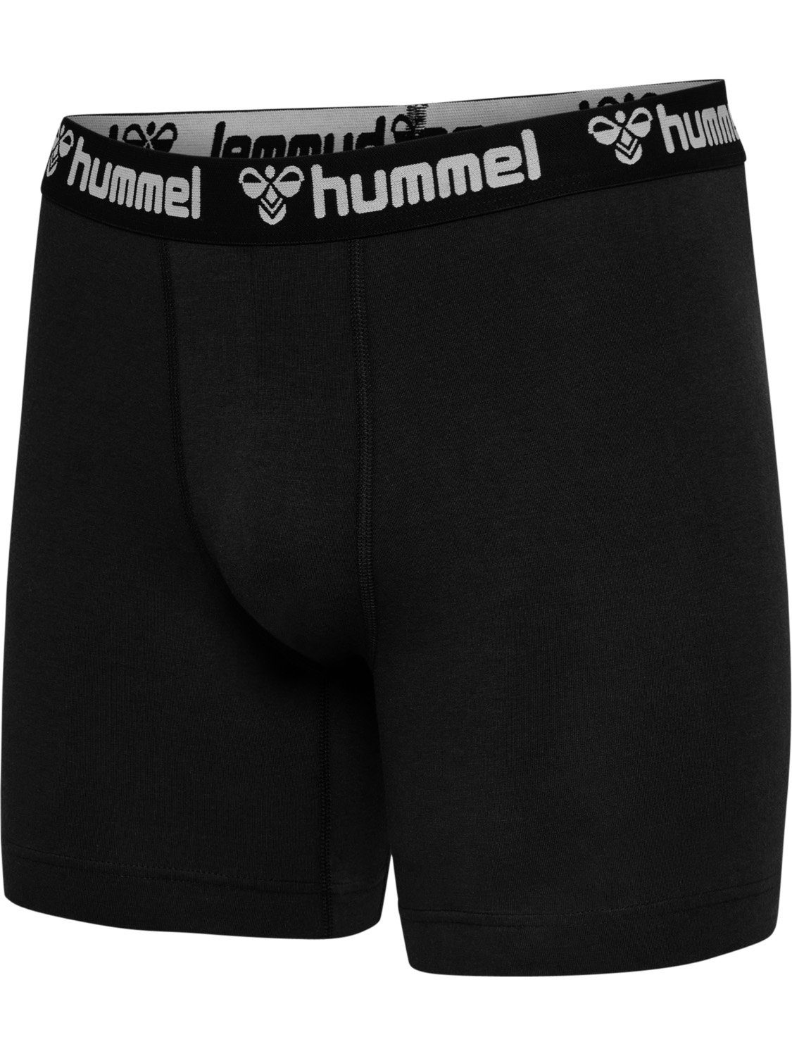 hummel Boxershorts 2-er Pack Retro Boxershorts Trunks Set Unterwäsche HMLBO günstig online kaufen