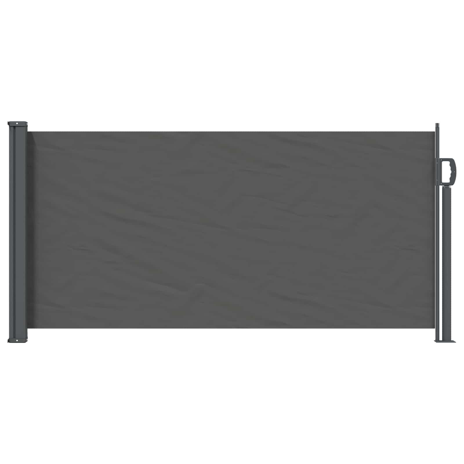 vidaXL Seitenmarkise Ausziehbares Seitenmarkise 300 x 100 cm Polyester Rechteckig (1-St)
