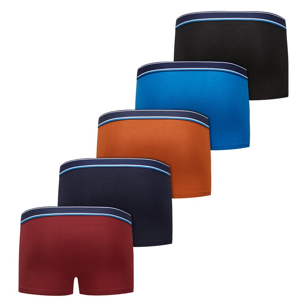 Daniel Hechter Boxershorts (Set, 5er-Pack) Baumwollreich und hautfreundlich