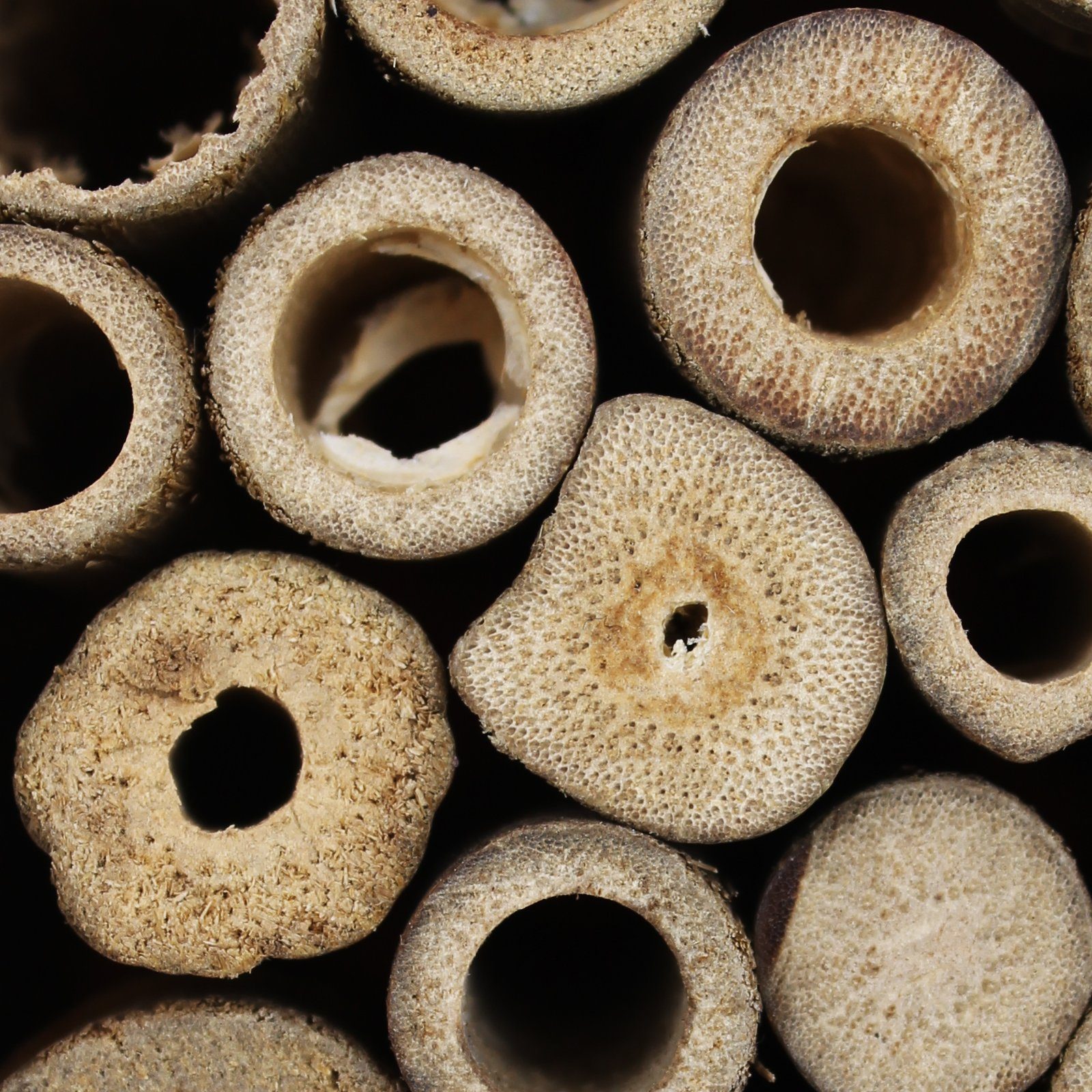 Insektenhotel Bienenhaus Metall-Dach mit Käferhotel, Insektennisthaus Käferhaus Schmetterlingshaus Koopman