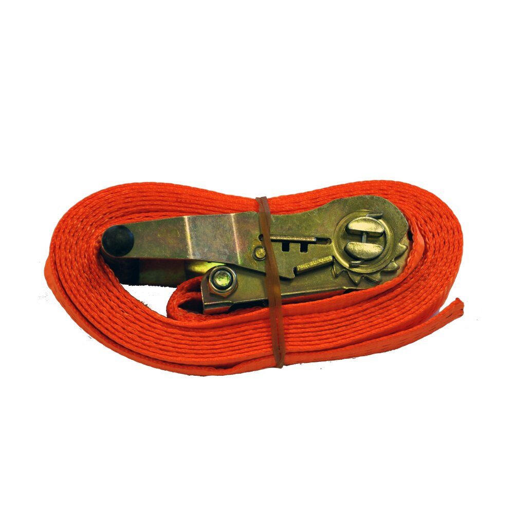 Primo24 Spanngurt für sicheren Transport - risikofreie Gepäcksicherung verschiedene Größen