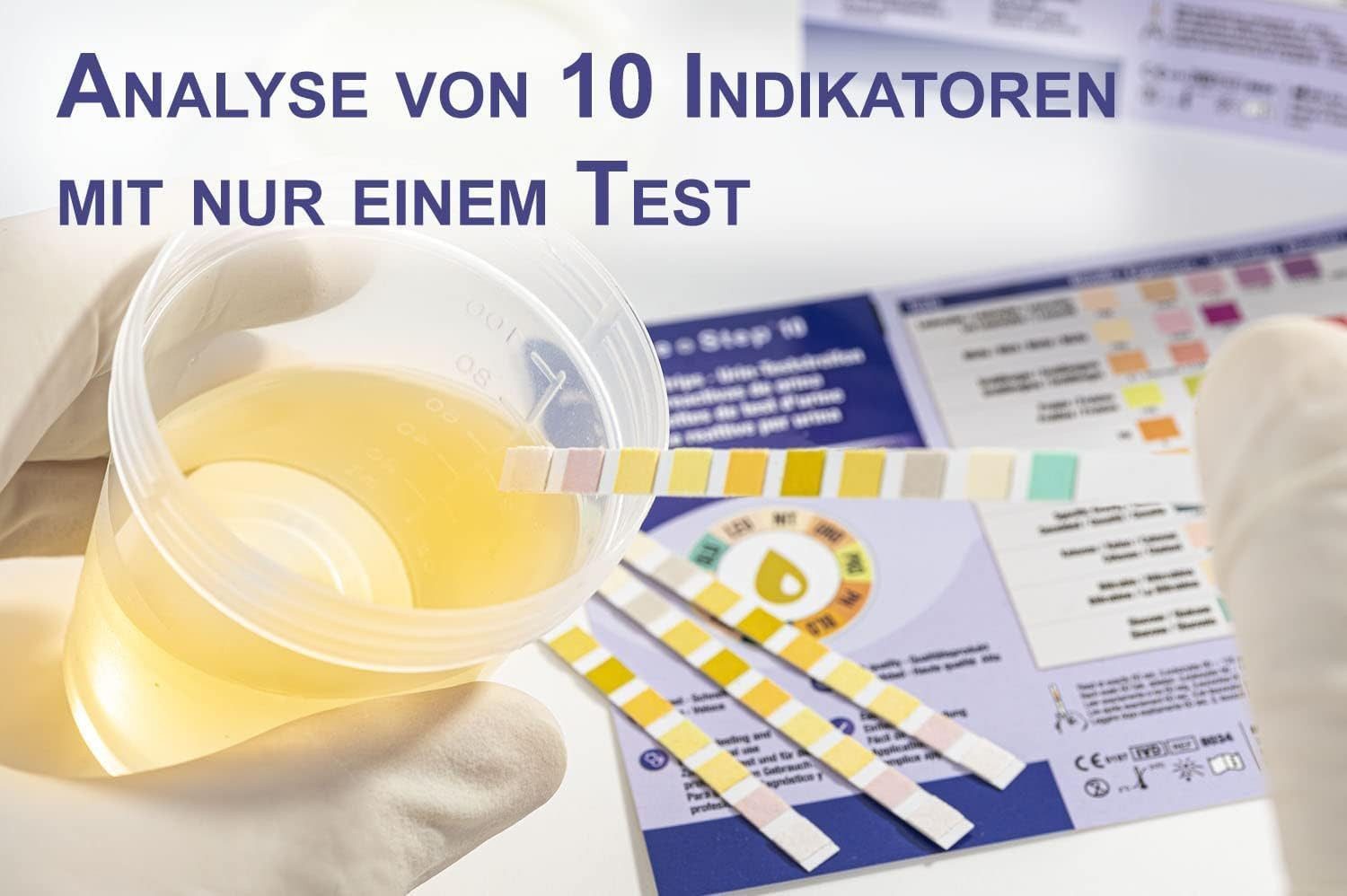 One+Step Harnsäure-Teststreifen Gesundheitstest - Urin Teststreifen für 10 Indikatoren, 2-St.