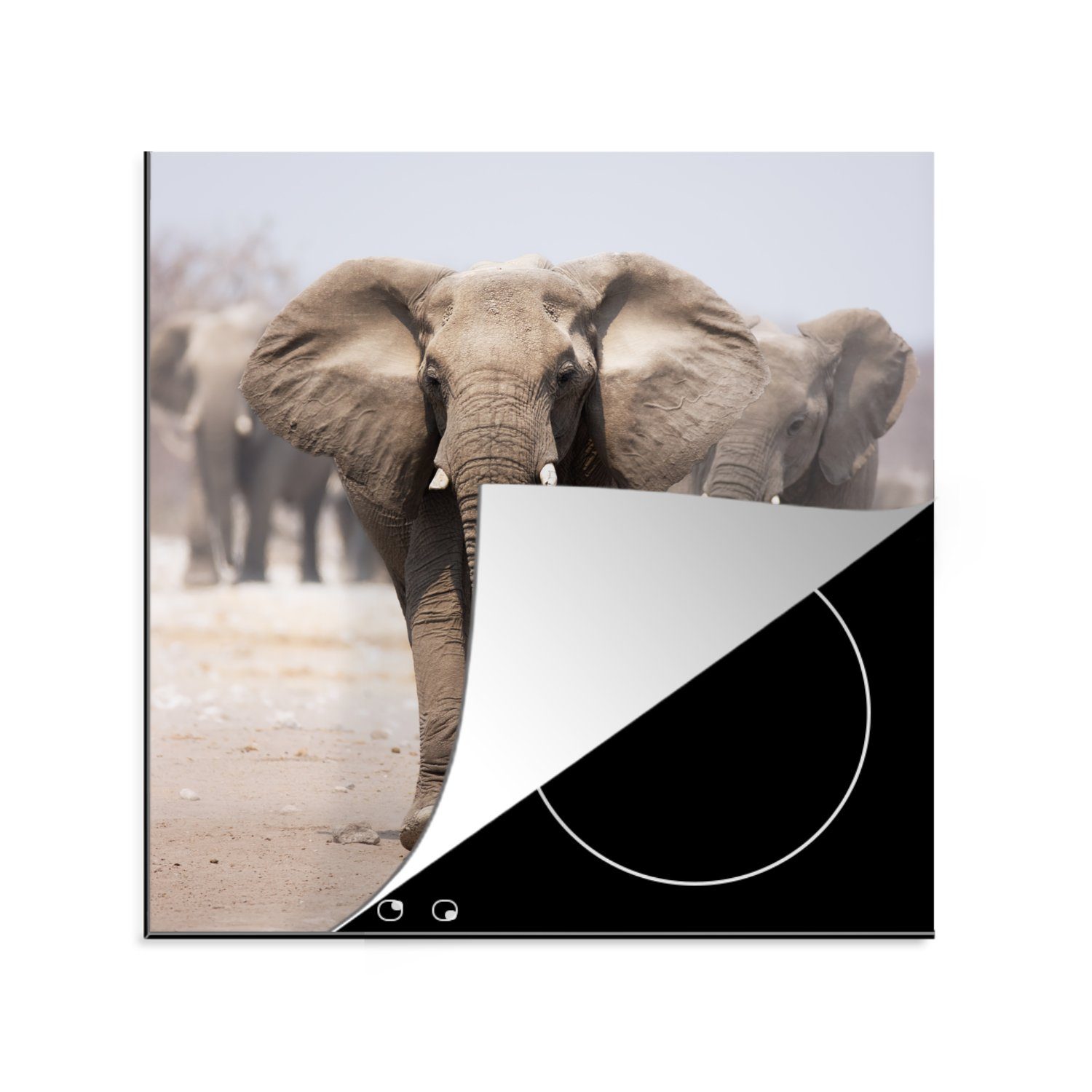 MuchoWow Herdblende-/Abdeckplatte Elefant - Beine - Stoff, Vinyl, (1 tlg), 78x78 cm, Ceranfeldabdeckung, Arbeitsplatte für küche