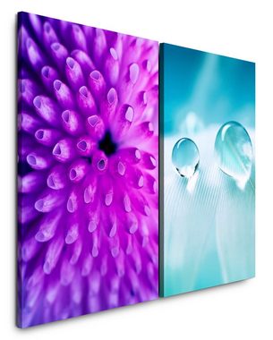 Sinus Art Leinwandbild 2 Bilder je 60x90cm Koralle Feder Wassertropfen Tropfen Federleicht Violett Makrofotografie