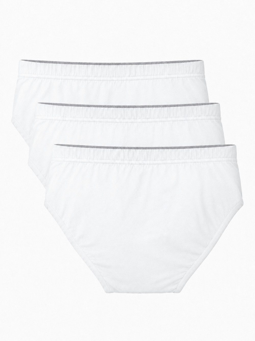 ASCOT Slip aus Baumwolle
