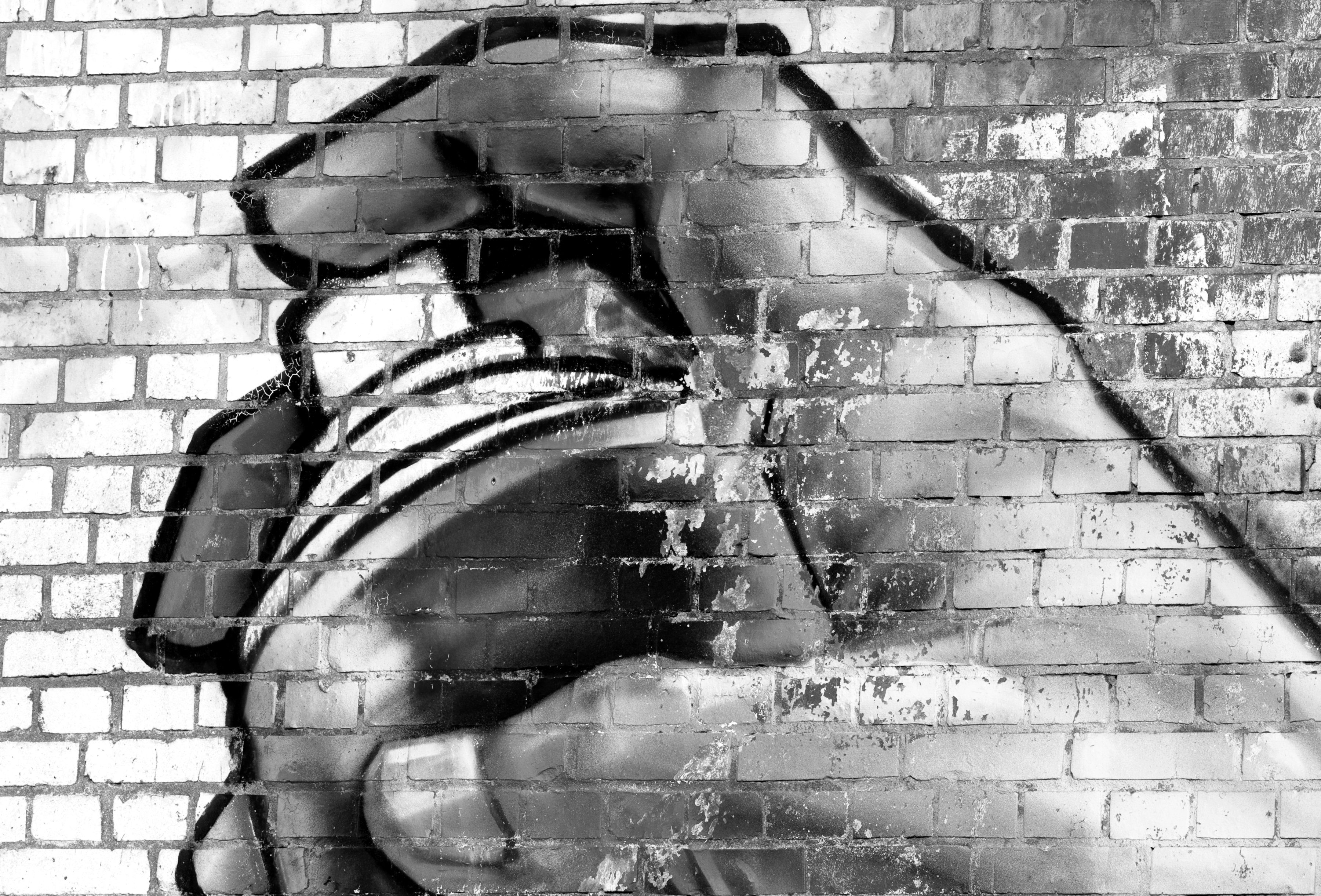 Papermoon Fototapete Graffiti Schwarz Weiß