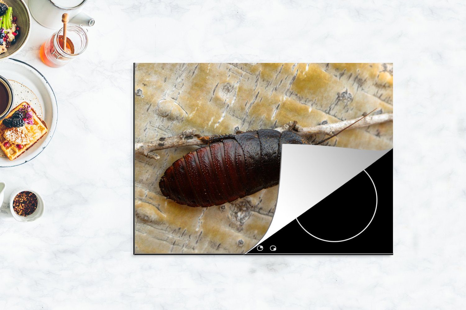 Kakerlake Zweig, Herdblende-/Abdeckplatte MuchoWow auf cm, Eine tlg), Mobile Arbeitsfläche Vinyl, 70x52 nutzbar, Ceranfeldabdeckung einem dunkle (1