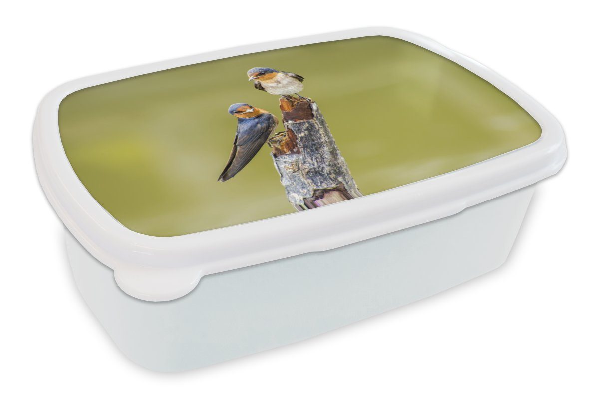 MuchoWow Lunchbox Vögel - Zweig - Porträt, Kunststoff, (2-tlg), Brotbox für Kinder und Erwachsene, Brotdose, für Jungs und Mädchen weiß
