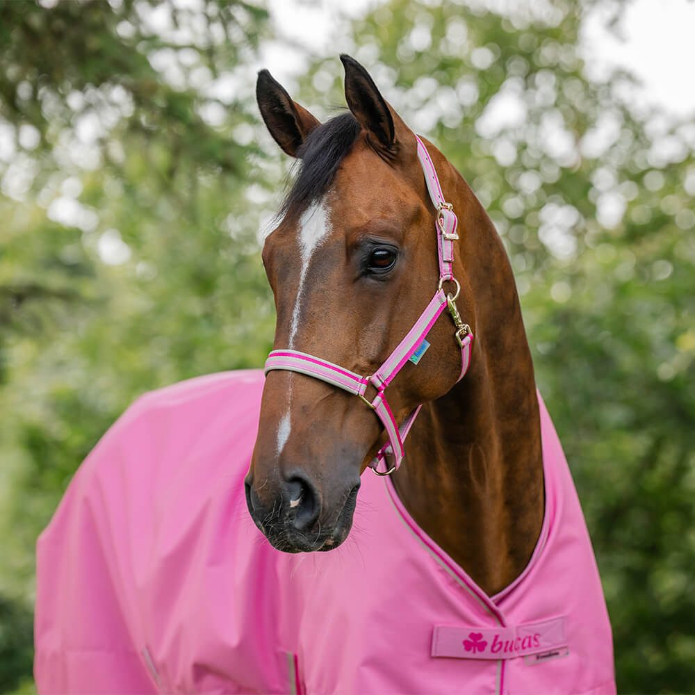 Bucas Pferde-Regendecke Bucas Freedom Turnout Light 0g