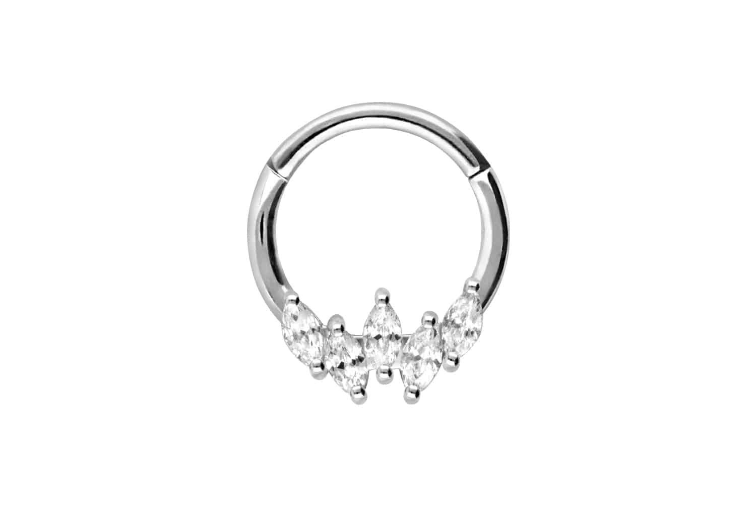 Nasenpiercing Chirurgenstahl Segmentring Clicker 5 EINGEFASSTE KRISTALLE Ohrpiercing