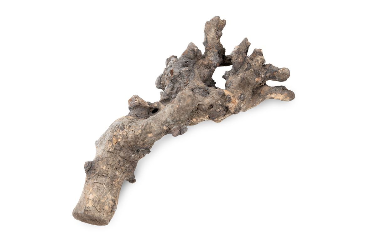 Bastelnaturmaterial Kuwa Deko-Wurzel Weiß gewaschen, Maße ca. 40-50 cm