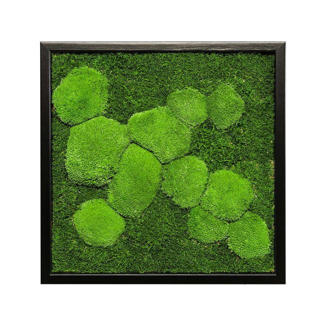 Moos-Design Bild Moosbild Fifty Fifty Design günstig online kaufen