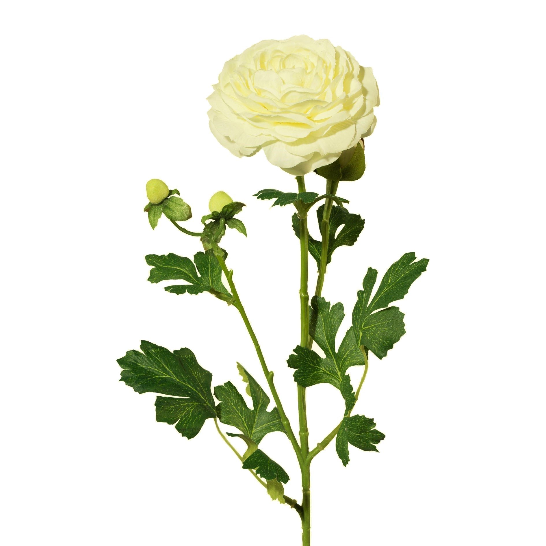 Kunstblume Künstliche Ranunkel ca. 56cm. Kunstblume Dekoblume Dekozweig, Gasper, Höhe 56.00 cm