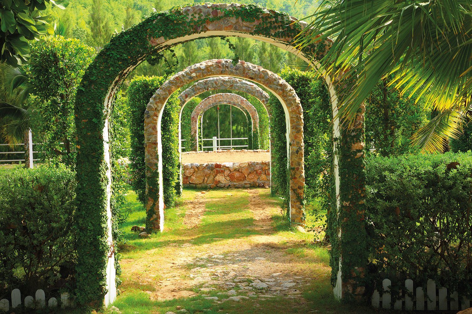 Fototapete Pergola Garden