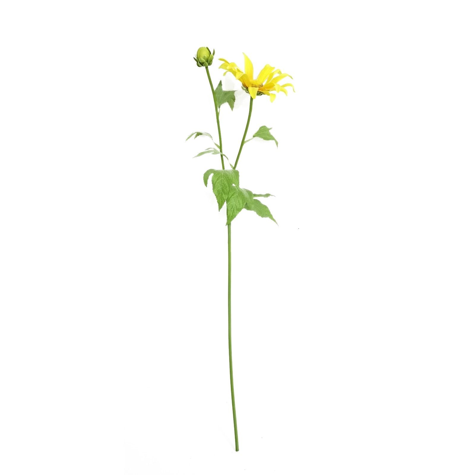 Kunstblume Frühlingsblume 74 cm HTI-Living, cm unbekannt, 74 Flora Höhe Kunstblume Gelb