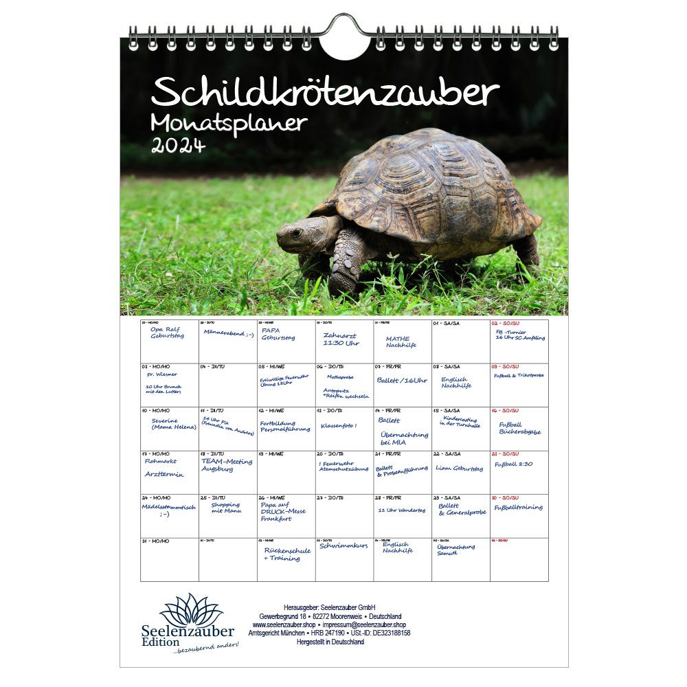 Schildkrötenzauber: Ausmalbilder für Groß und Klein – Entspannung, Kreativität und Spaß!