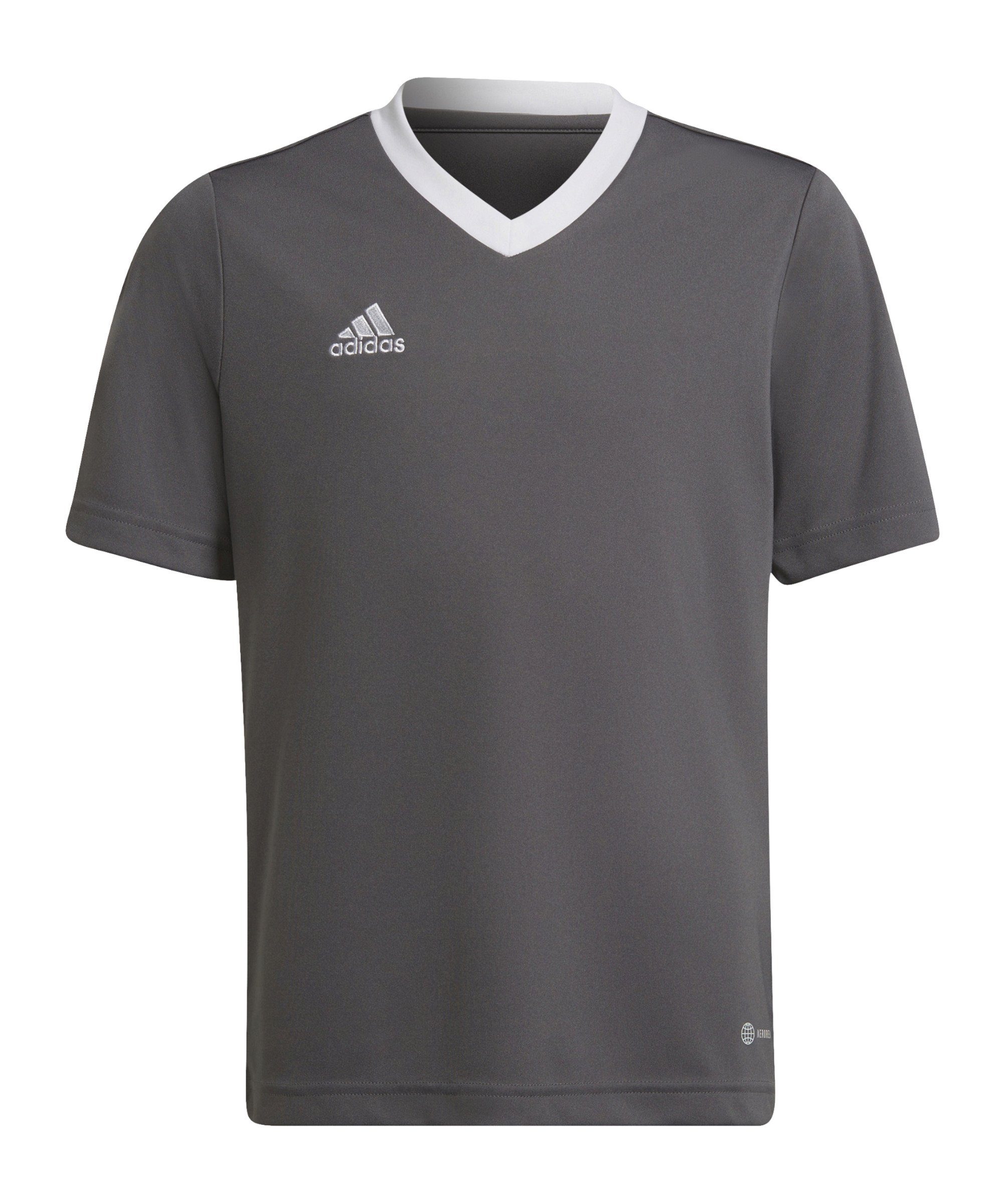 adidas Performance Fußballtrikot Entrada 22 Trikot Kids grauweiss