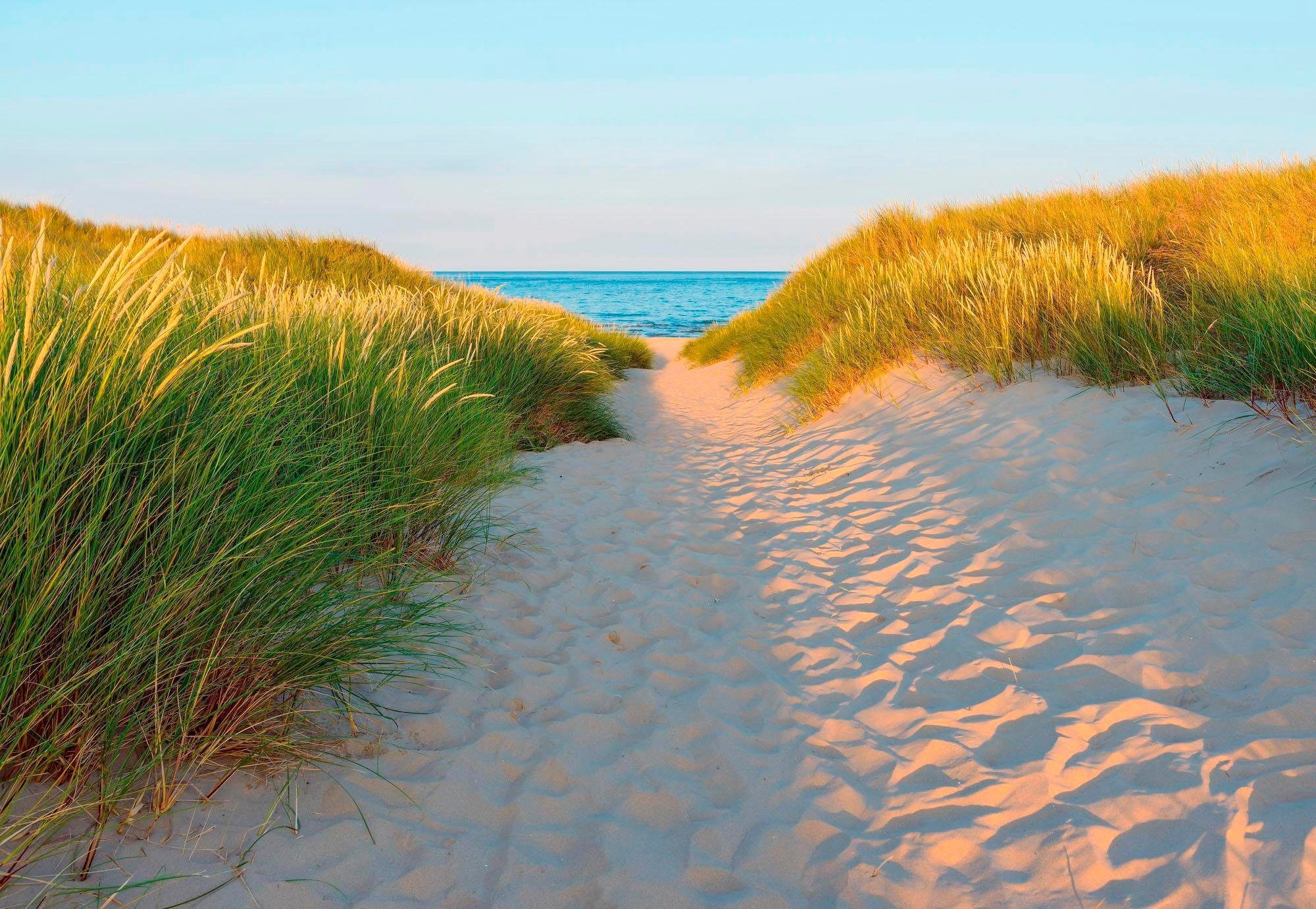 Komar Fototapete Sandy Path, 368x254 cm (Breite x Höhe), inklusive  Kleister, Die Fototapete weckt Vorfreude – der schmale Sandstreifen führt  direkt zum Meer