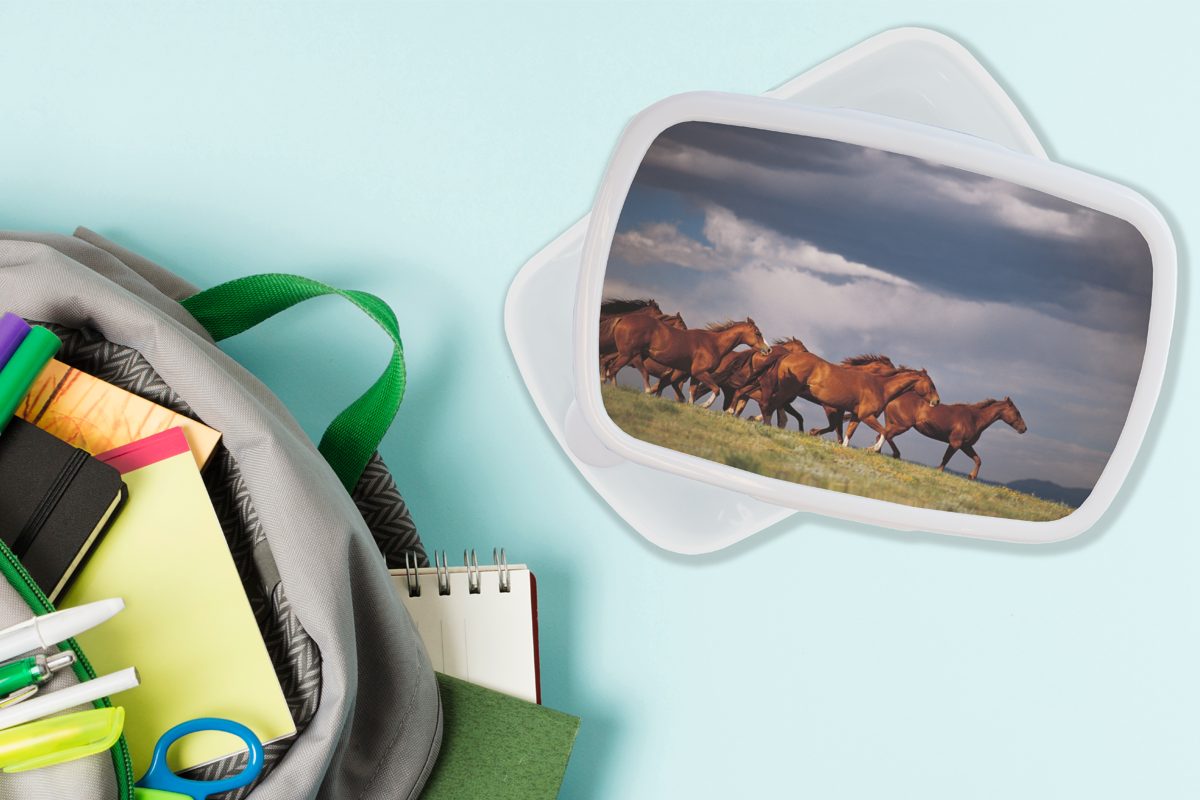 MuchoWow Lunchbox Herde von Mädchen Mustang-Pferden, und weiß Brotbox (2-tlg), für Kunststoff, Erwachsene, und Brotdose, Jungs für Kinder wilden