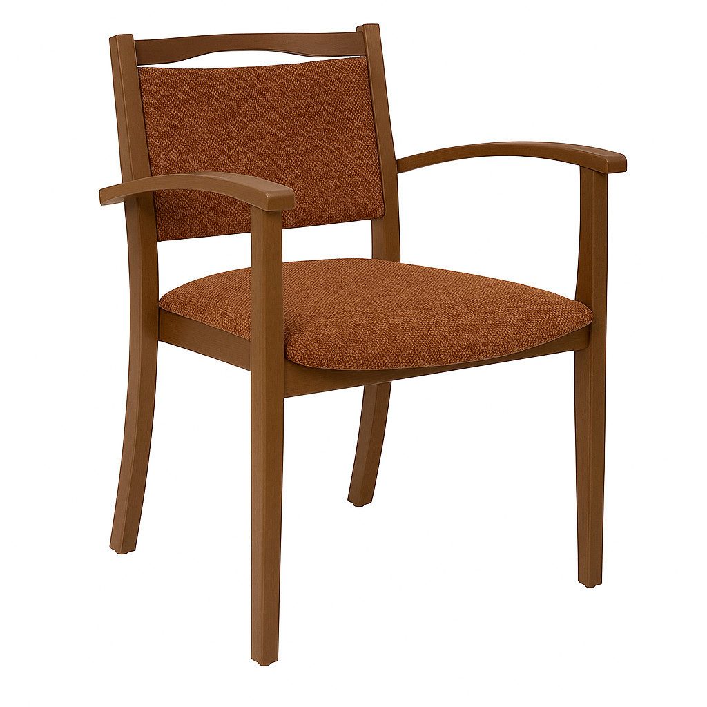 einrichtungsdesign24 Armlehnstuhl Seniorenstuhl Alexander Rustikal mit Armlehnen – Armlehnstuhl, Sitzhöhe 47cm