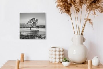 OneMillionCanvasses® Leinwandbild Neuseeland - Baum - Schwarz - Weiß, (1 St), Leinwand Bilder für Wohnzimmer Schlafzimmer