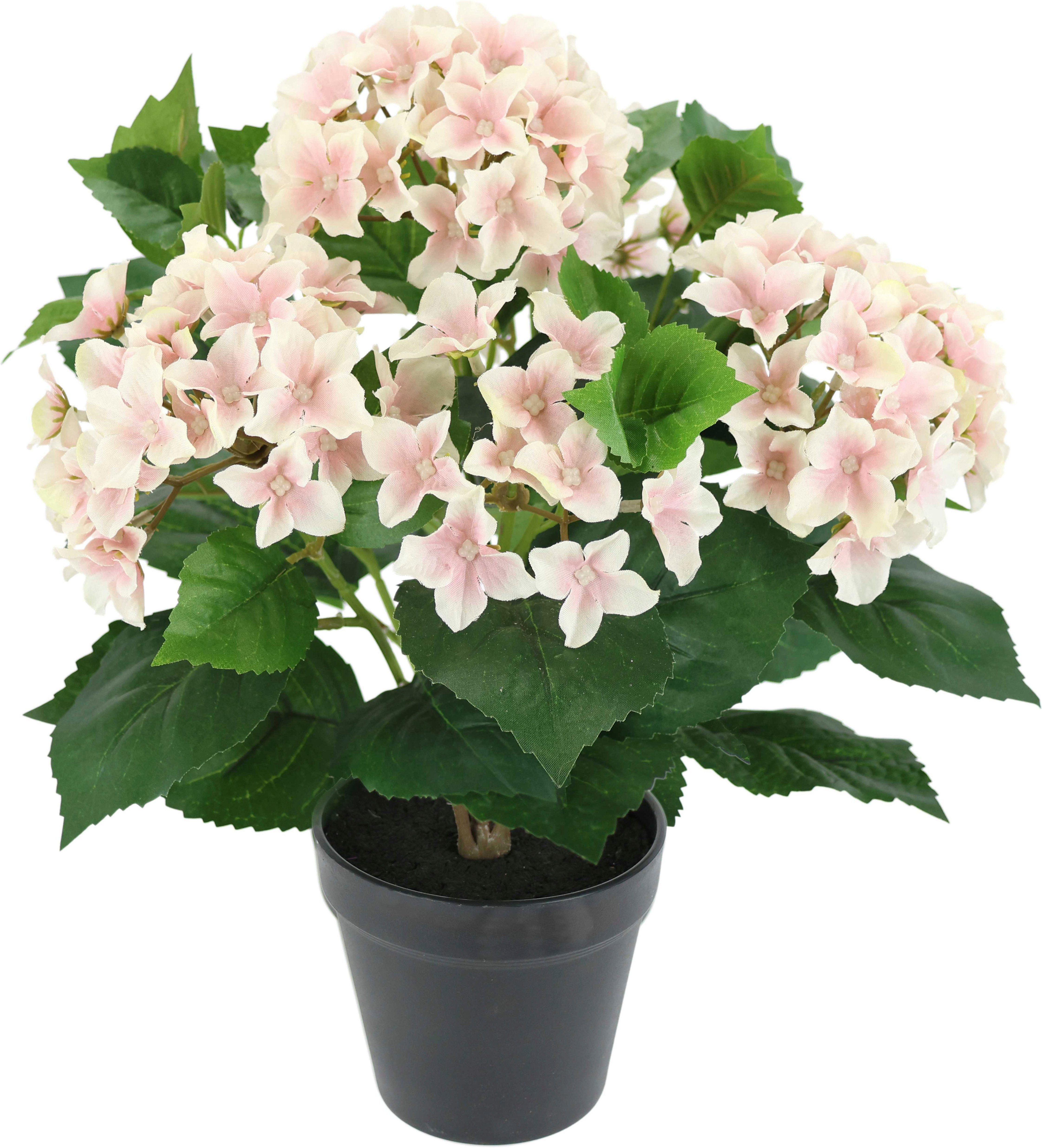 Kunstblume Künstliche Hortensie im Topf Hortensie, OTTO home, Höhe 40 cm, 40cm Realistische Kunstpflanze Blumen Deko Blumen Pflanzen