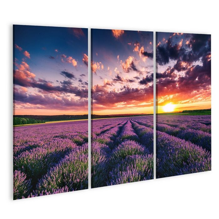 islandburner Leinwandbild Bild auf Leinwand Lavendelblüte Blühende Felder Endlose Reihen Sonnenu
