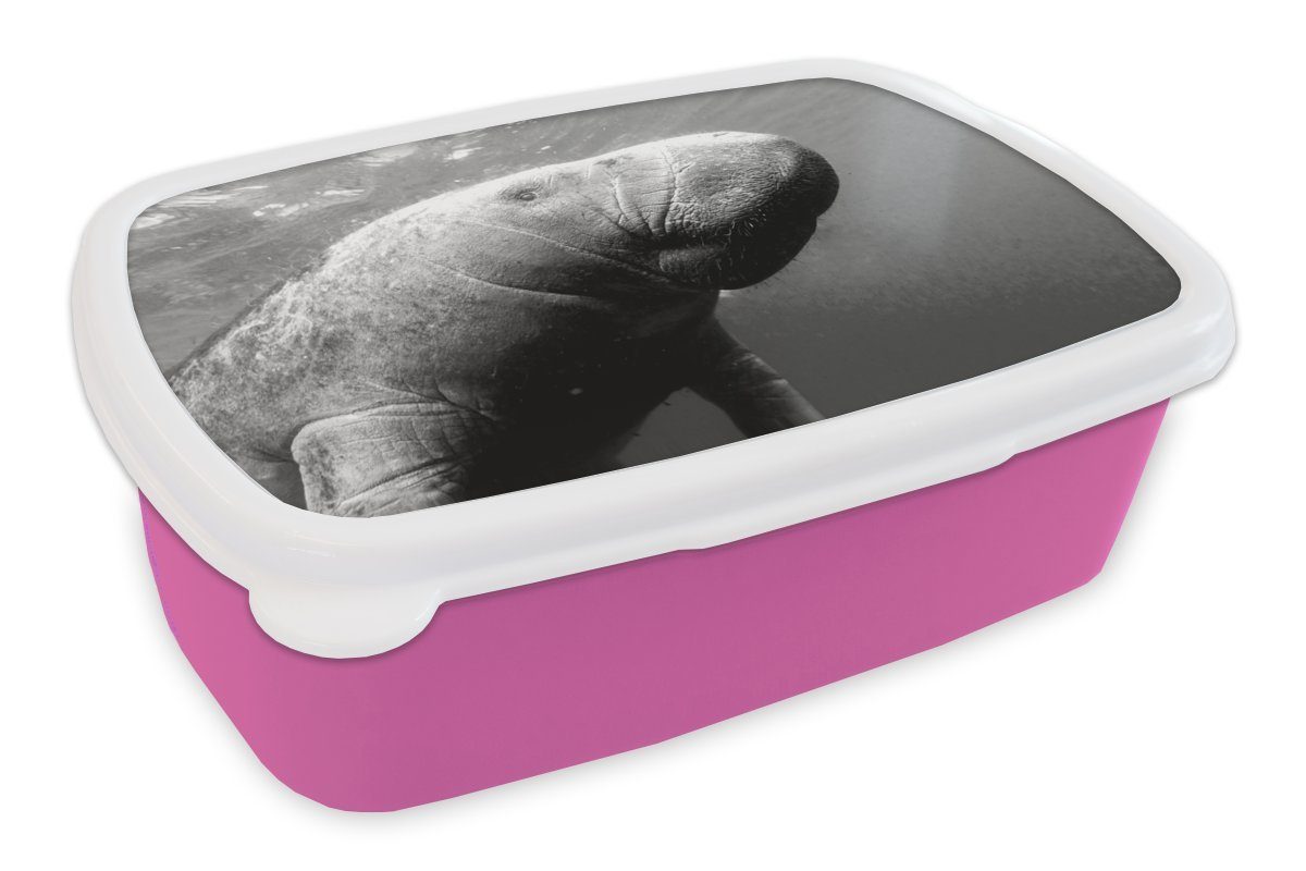 MuchoWow Lunchbox Unterwasserfoto einer Seekuh - schwarz-weiß, Kunststoff, (2-tlg), Brotbox für Erwachsene, Brotdose Kinder, Snackbox, Mädchen, Kunststoff rosa