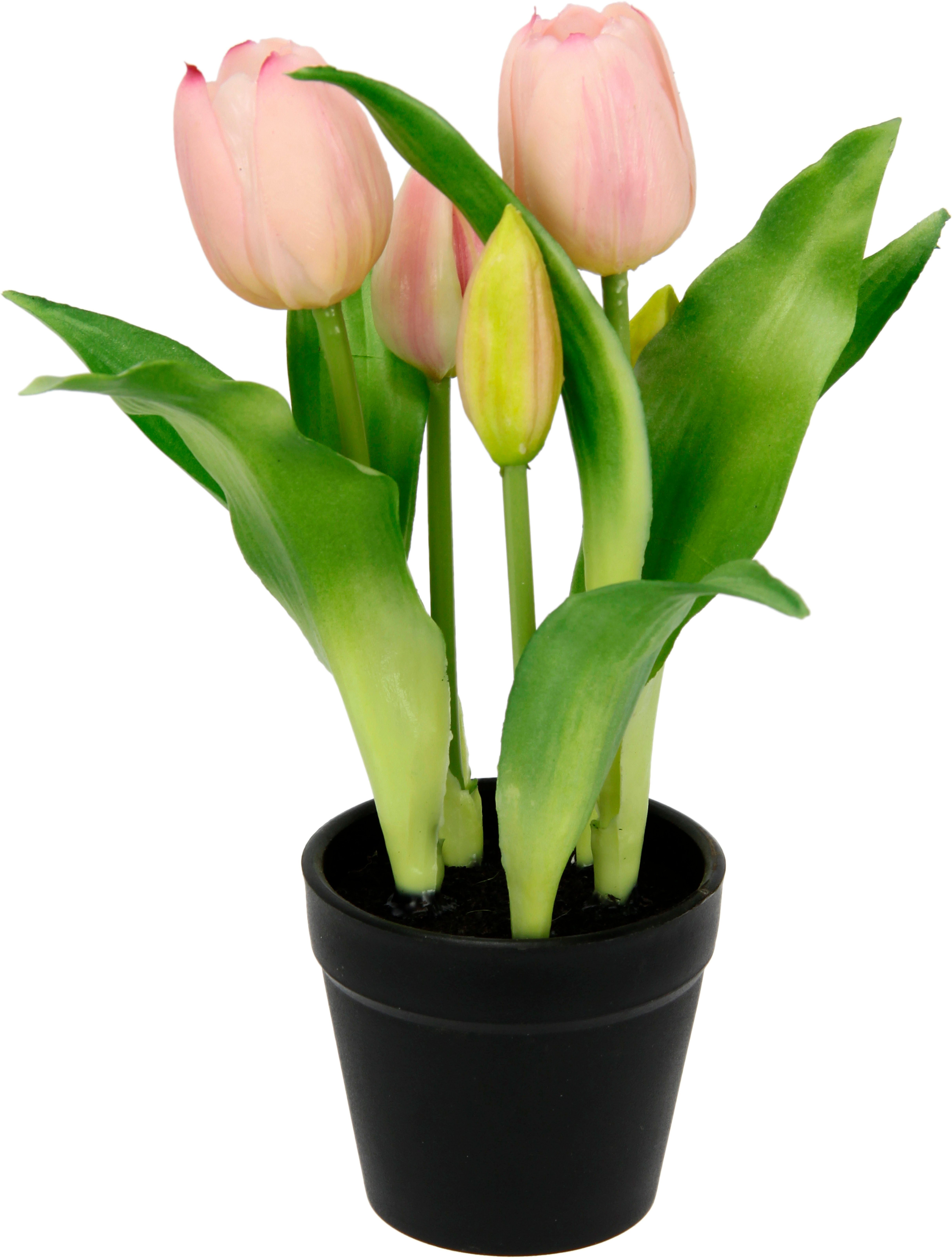 Kunstblume Tulpen, I.GE.A., Höhe 22 cm, Real-Touch Blüten Tulpe Tulpenstrau günstig online kaufen