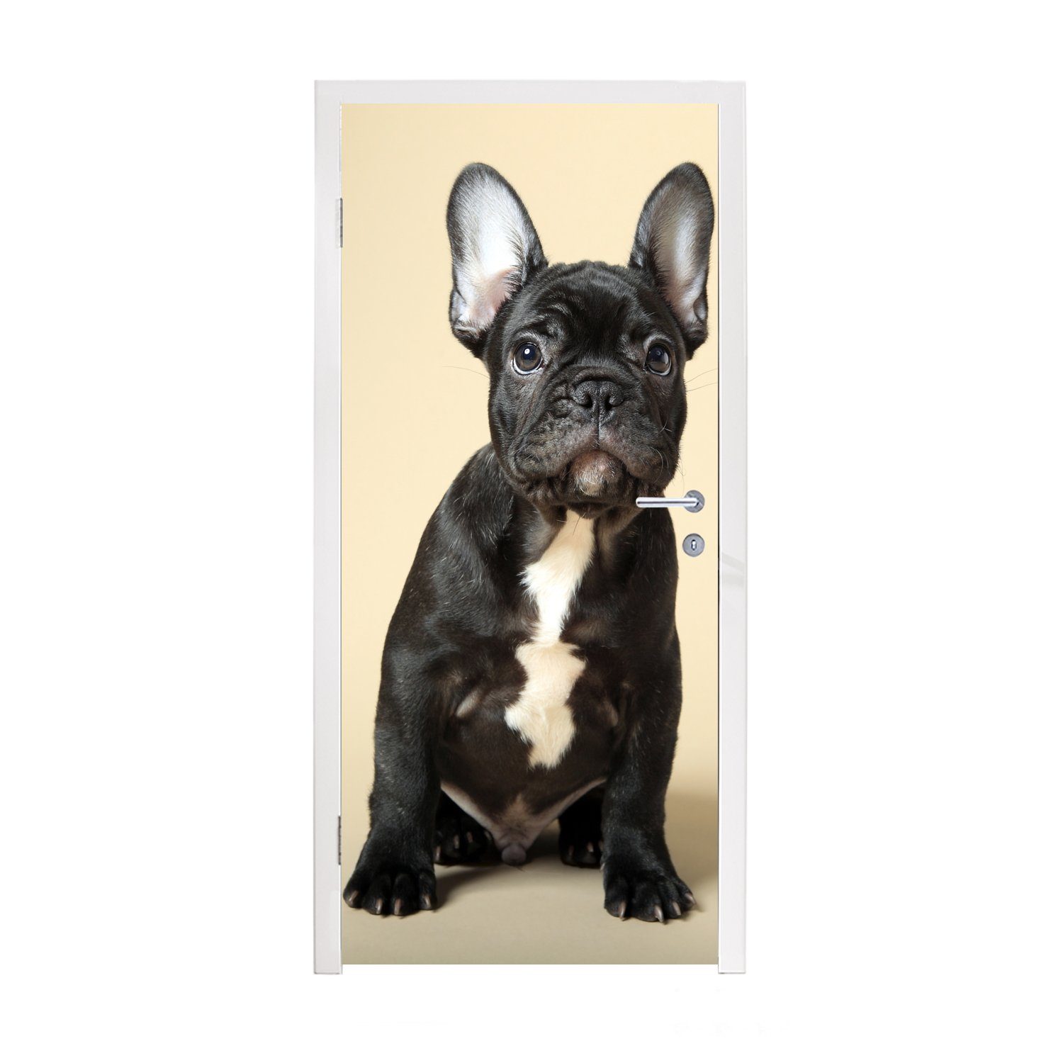 MuchoWow Türtapete Französische Bulldogge - Schwarz - Beige, Matt, bedruckt, (1 St), Fototapete für Tür, Türaufkleber, 75x205 cm