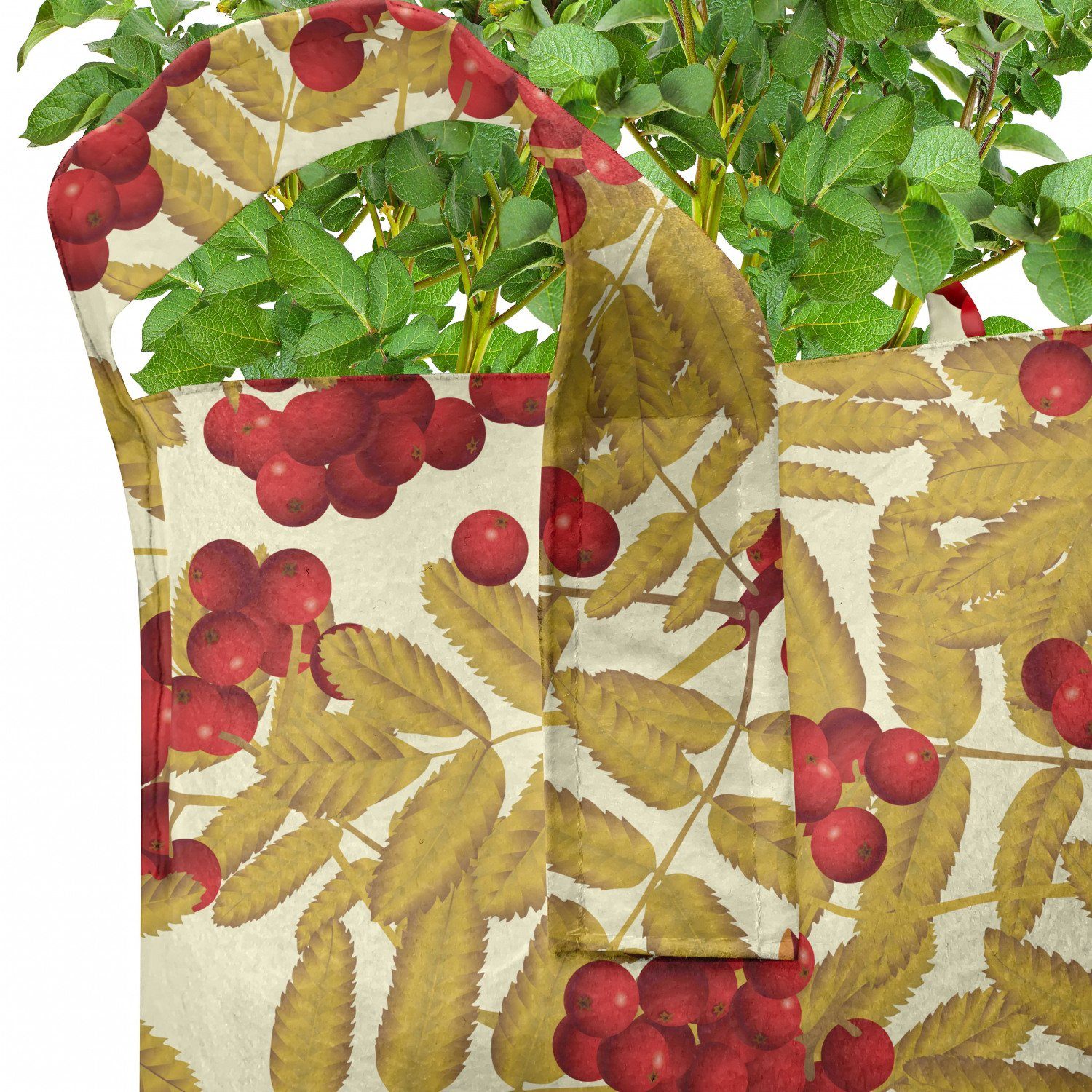 Abakuhaus Pflanzen, hochleistungsfähig Griffen Früchte Saftige reife mit Eberesche Stofftöpfe Pflanzkübel Leafage für