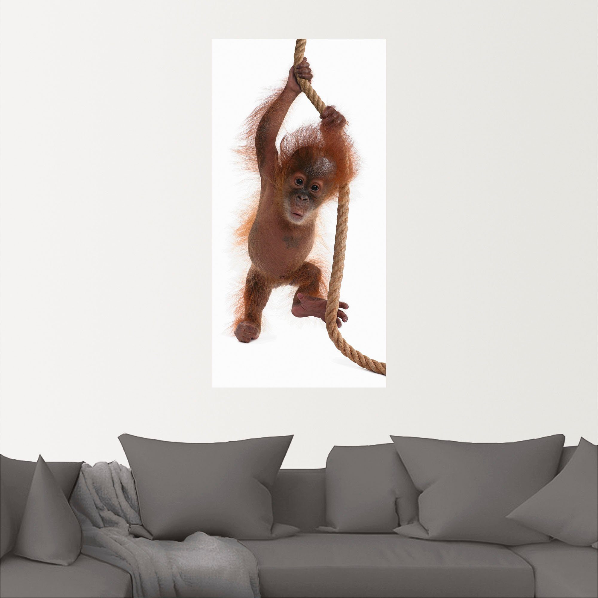 Artland Wandbild Baby I, hängt Leinwandbild, oder Utan St), Größen (1 als Seil Alubild, versch. am in Orang Wandaufkleber Wildtiere Poster
