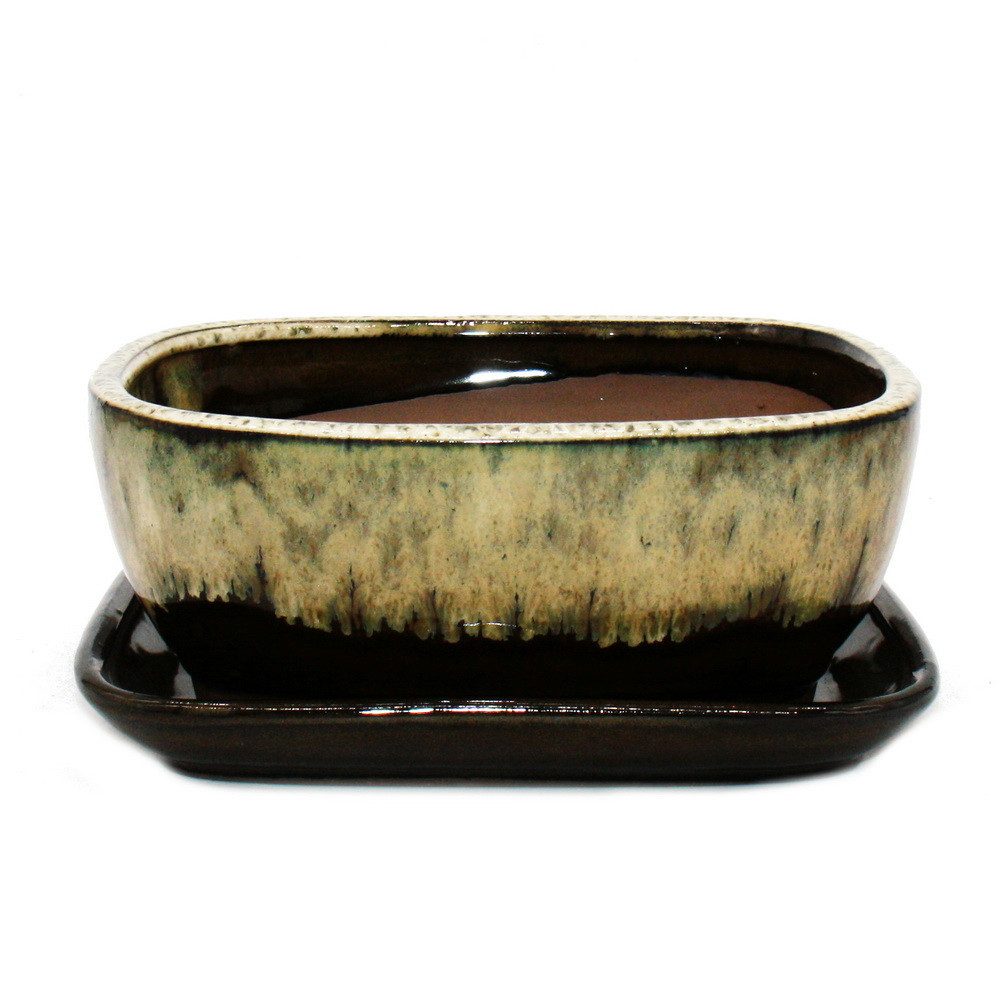 Exotenherz Pflanzschale Bonsai-Schale Unterteller Gr. 3 Braun-Beige rechteckig GB5 L 21,5cm (1 St)